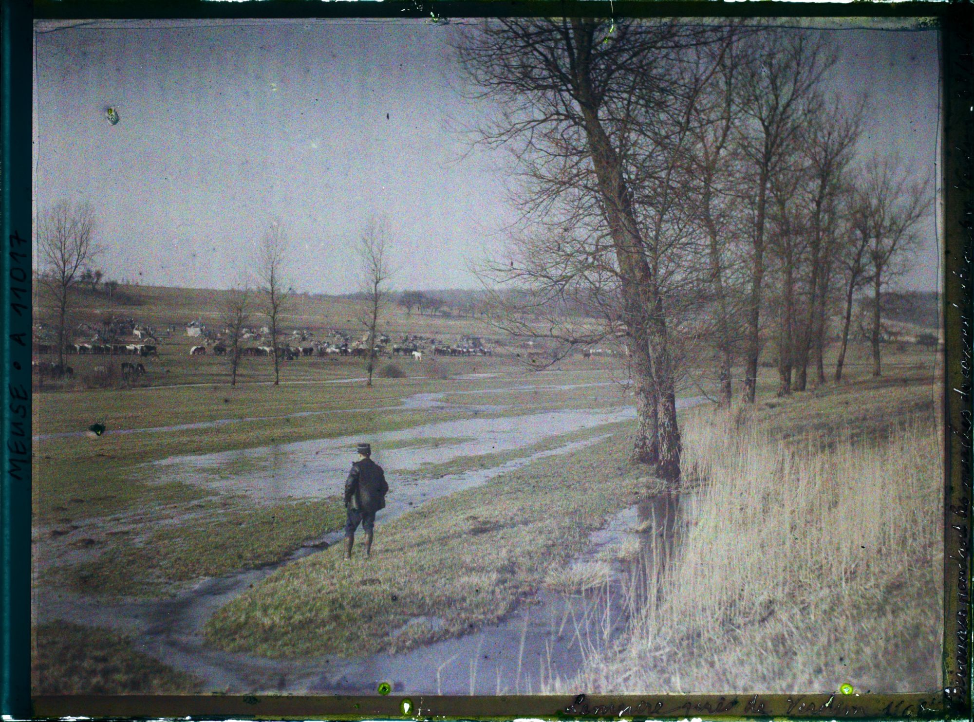 Image représentant France, Lempire, Lempire près de Verdun - Bivouacs pendant les marches de Concentration s/ Verdun