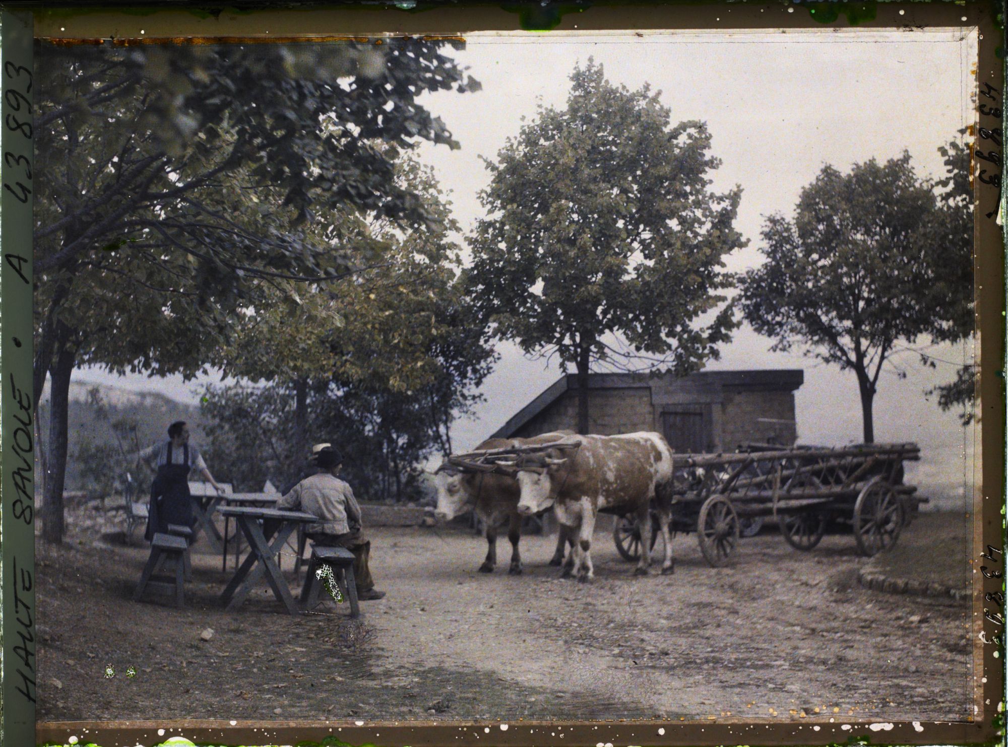Image représentant France, Le Salève, Tableau au lieu dit "Croix" au Salève ( Gd Salève)
