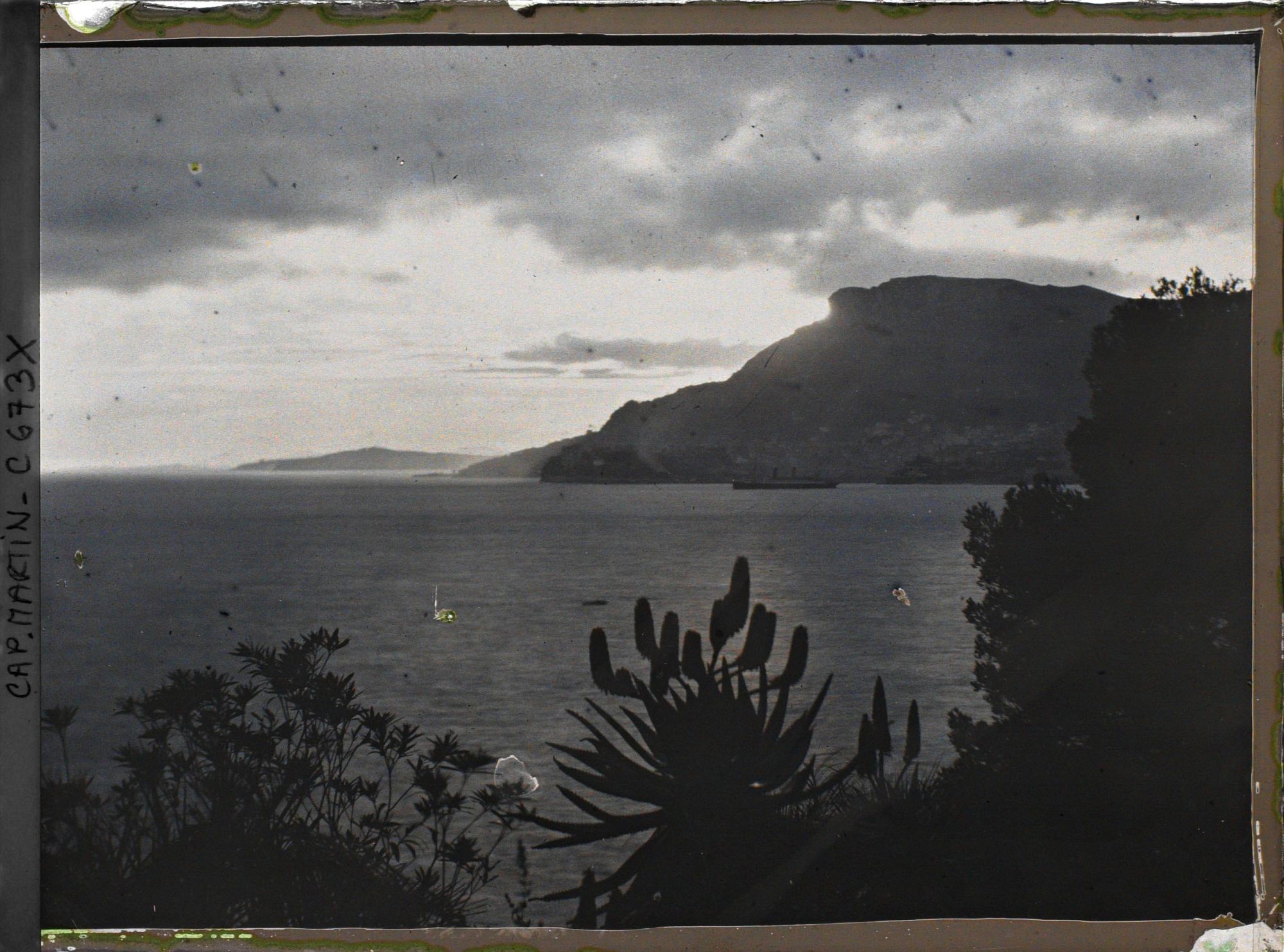 Image représentant Effet du soir sur la tête de chien