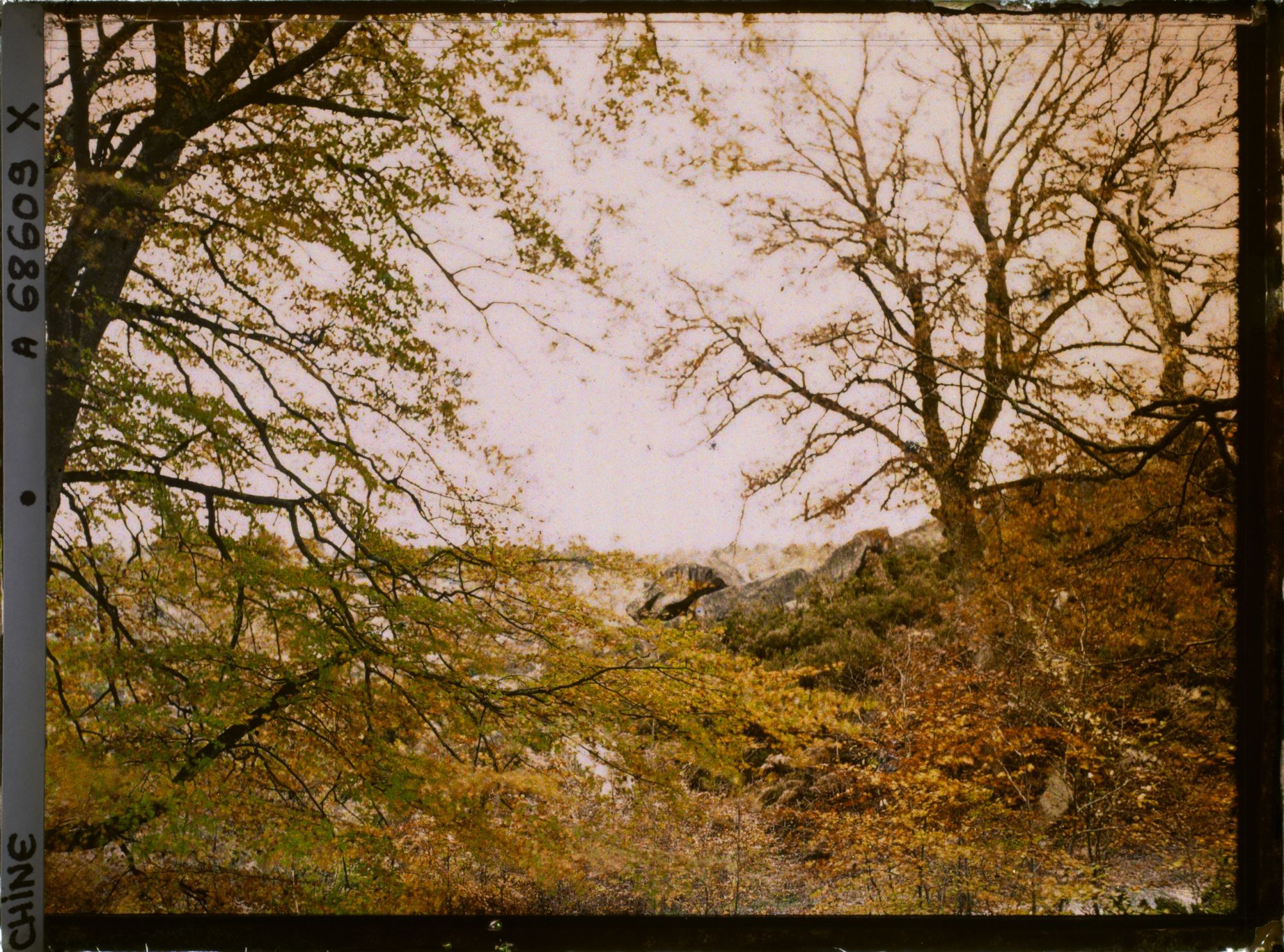 Image représentant Un paysage rocheux et boisé