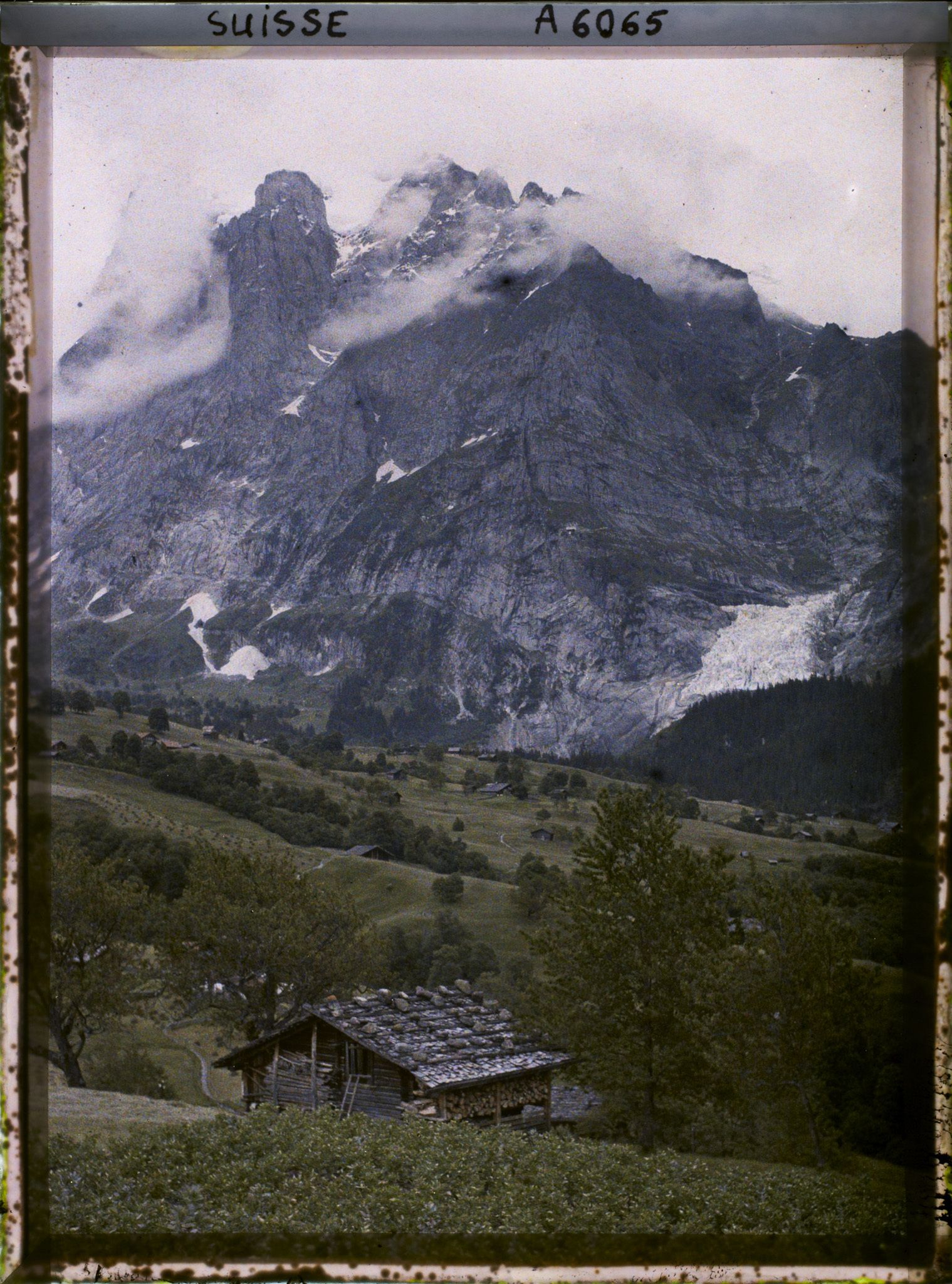 Image représentant Grindelwald, le Wetterhorn et le glacier de Grindelwald