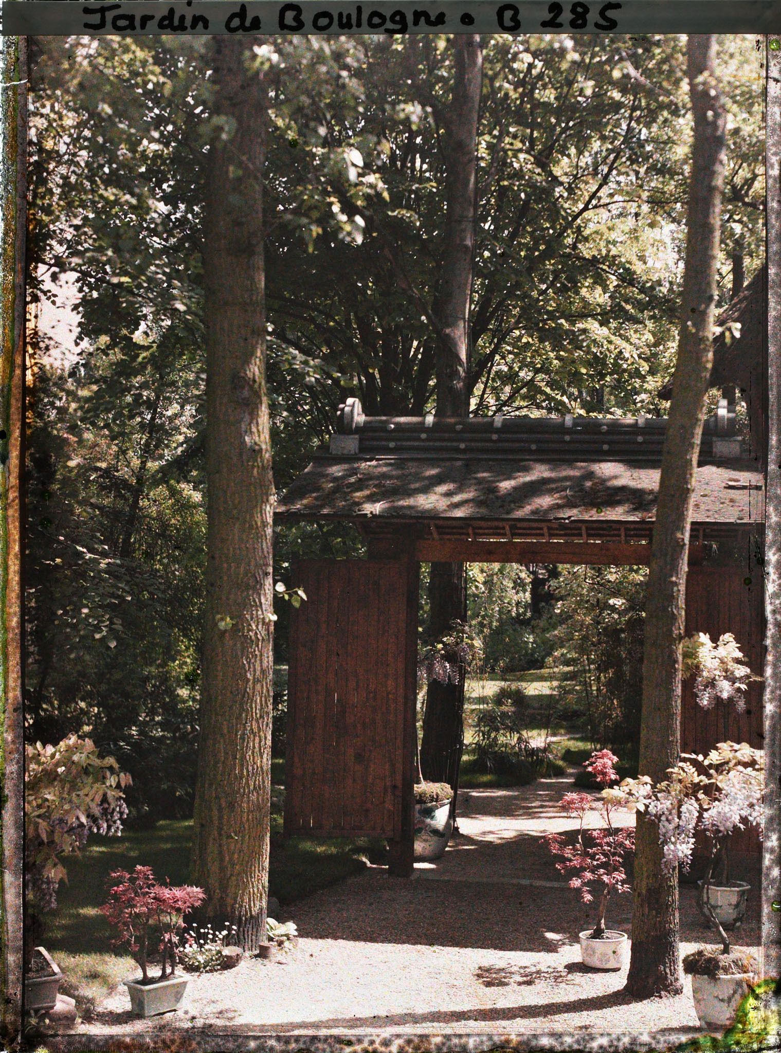 Image représentant Bonsaïs et glycines en pots devant la porte du " village japonais "  ouvrant sur le jardin anglais