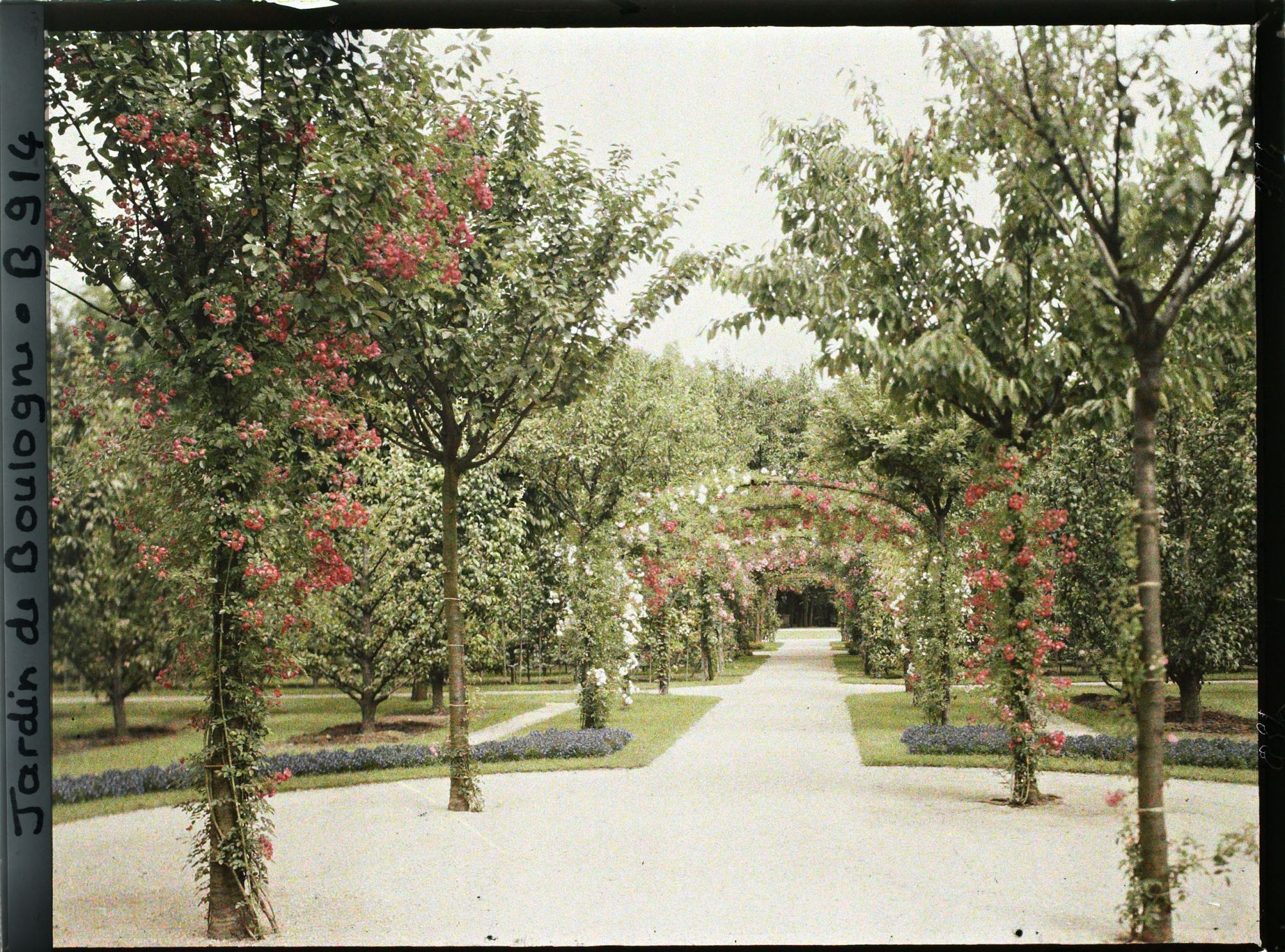 Image représentant Axe central du verger-roseraie vu en direction du jardin anglais depuis le rond-point côté dépendance