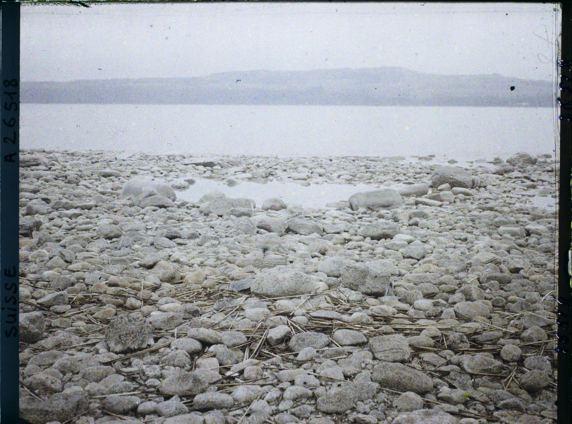 Image représentant Suisse, Grandson, Lac de Neuchâtel - Nouvel aspect des berges du lac au fond rive gauche