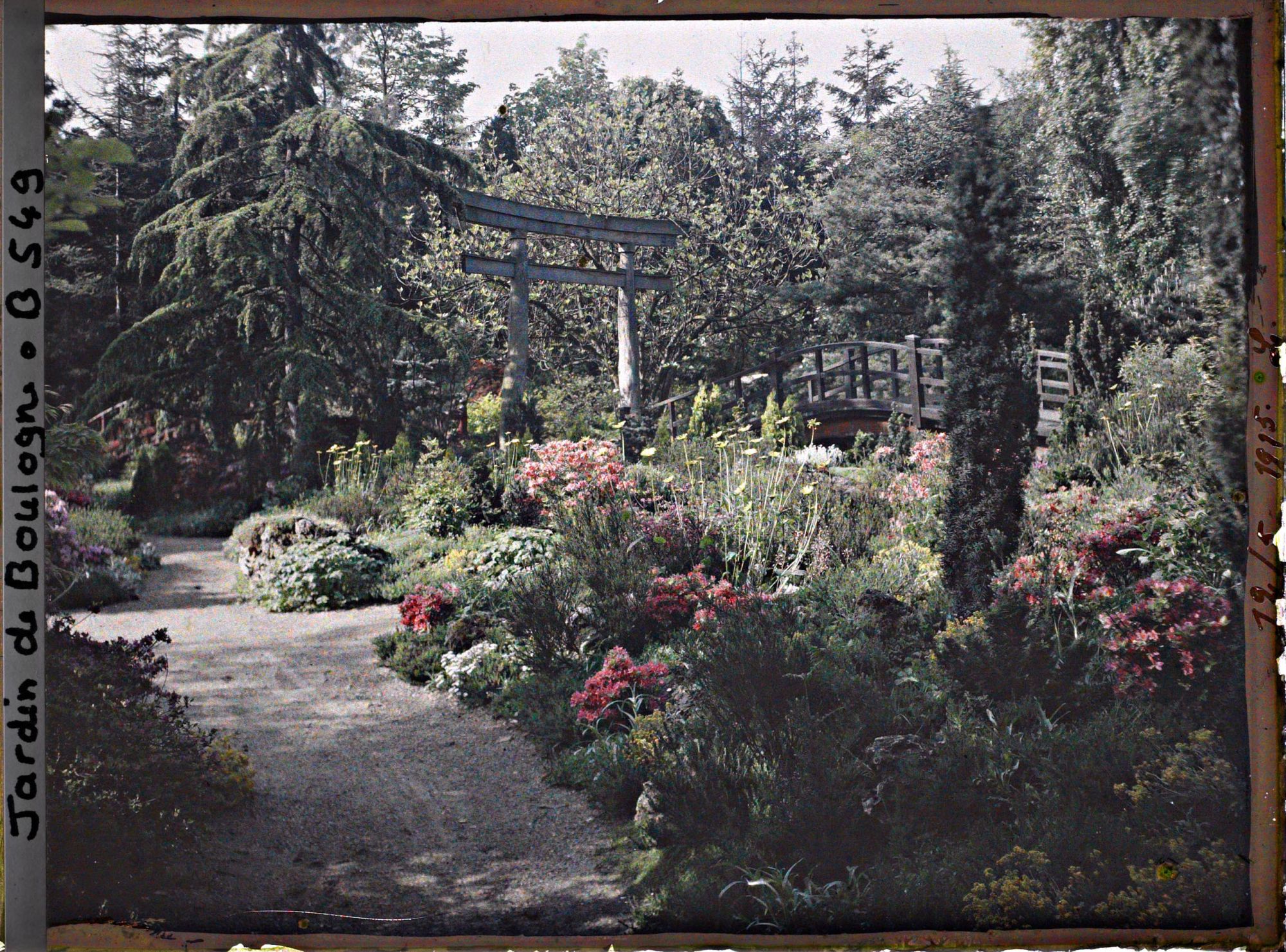 Image représentant Rocaille fleurie en bordure de chemins, près d'un torii et des ponts du " sanctuaire japonais "