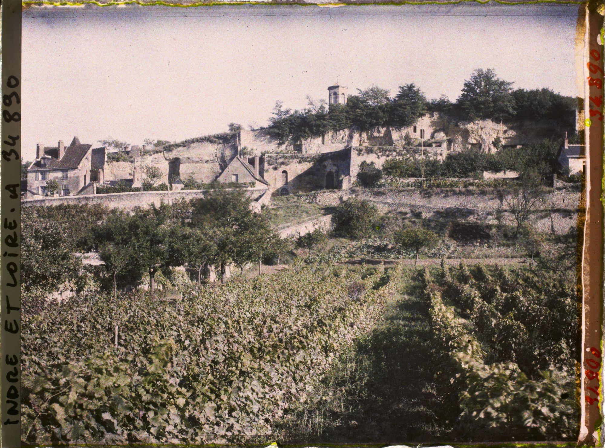 Image représentant Vignoble des coteaux de Vouvray, au fond l'église Notre-Dame-et-Saint-Jean-Baptiste