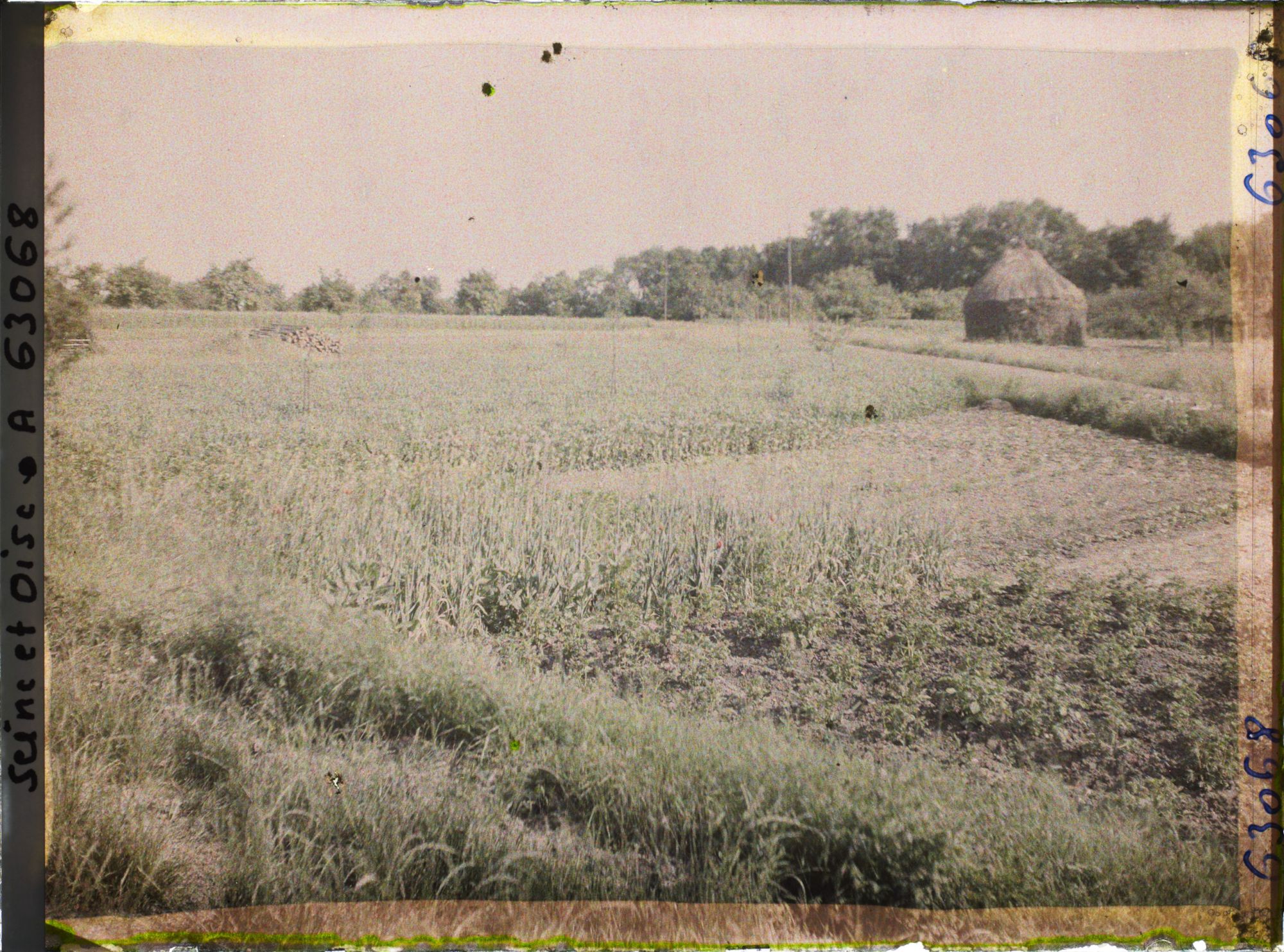 Image représentant Ile de France, Vaux, Cultures diverses