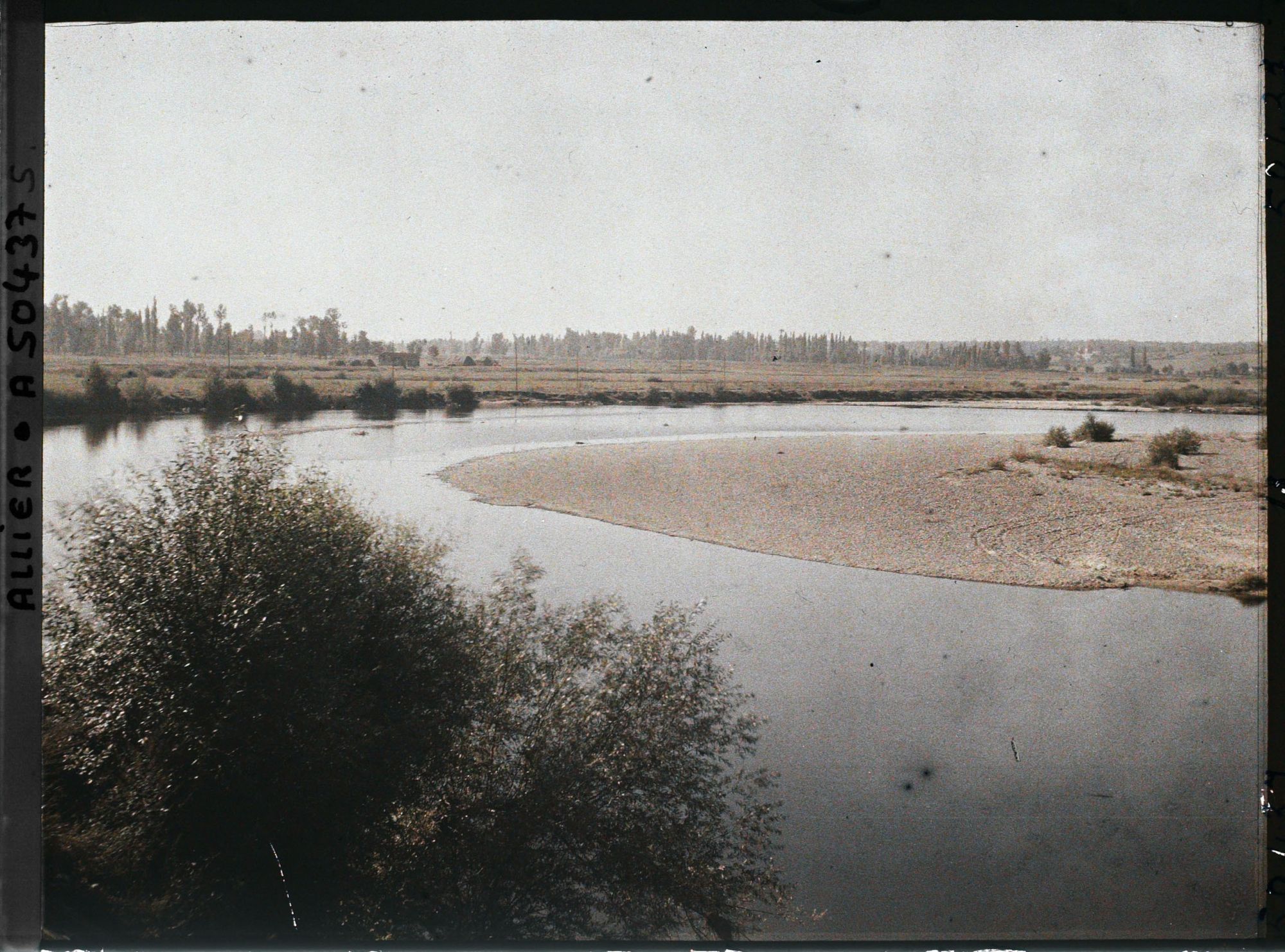 Image représentant Les bords de l'Allier vus vers l'amont