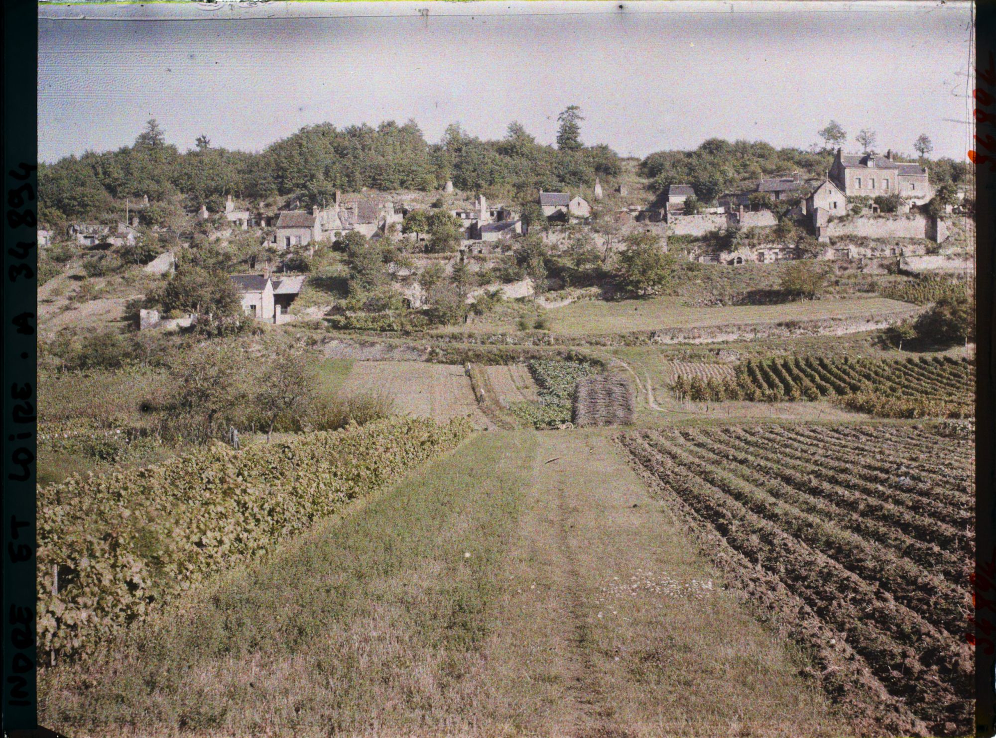 Image représentant Vignoble des coteaux de Vouvray