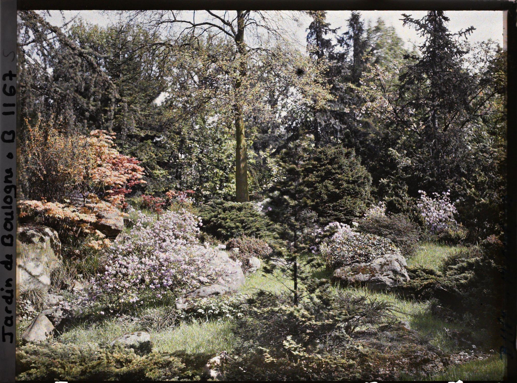 Image représentant Versant arboré face à la maison ouest du " village japonais ", situé à l'ouest du pavillon de thé