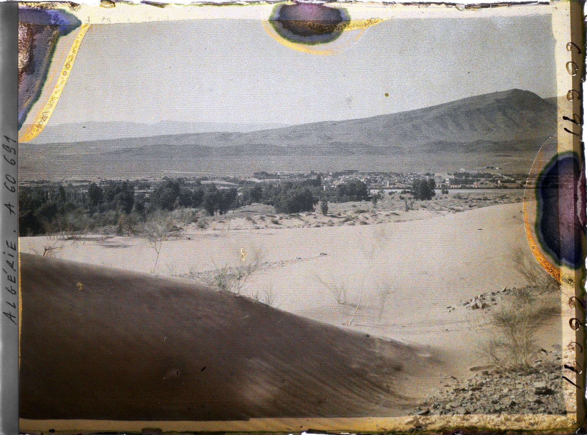 Image représentant Vue de la ville d'Aïn-Sefra avec à l'arrière-plan, le Djebel Aïssa