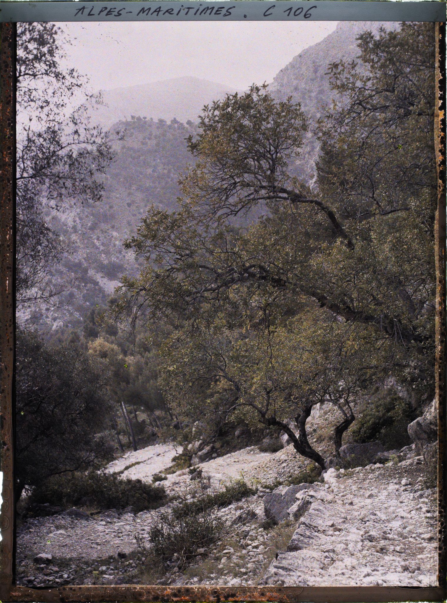 Image représentant Le chemin rocailleux, dans la montagne