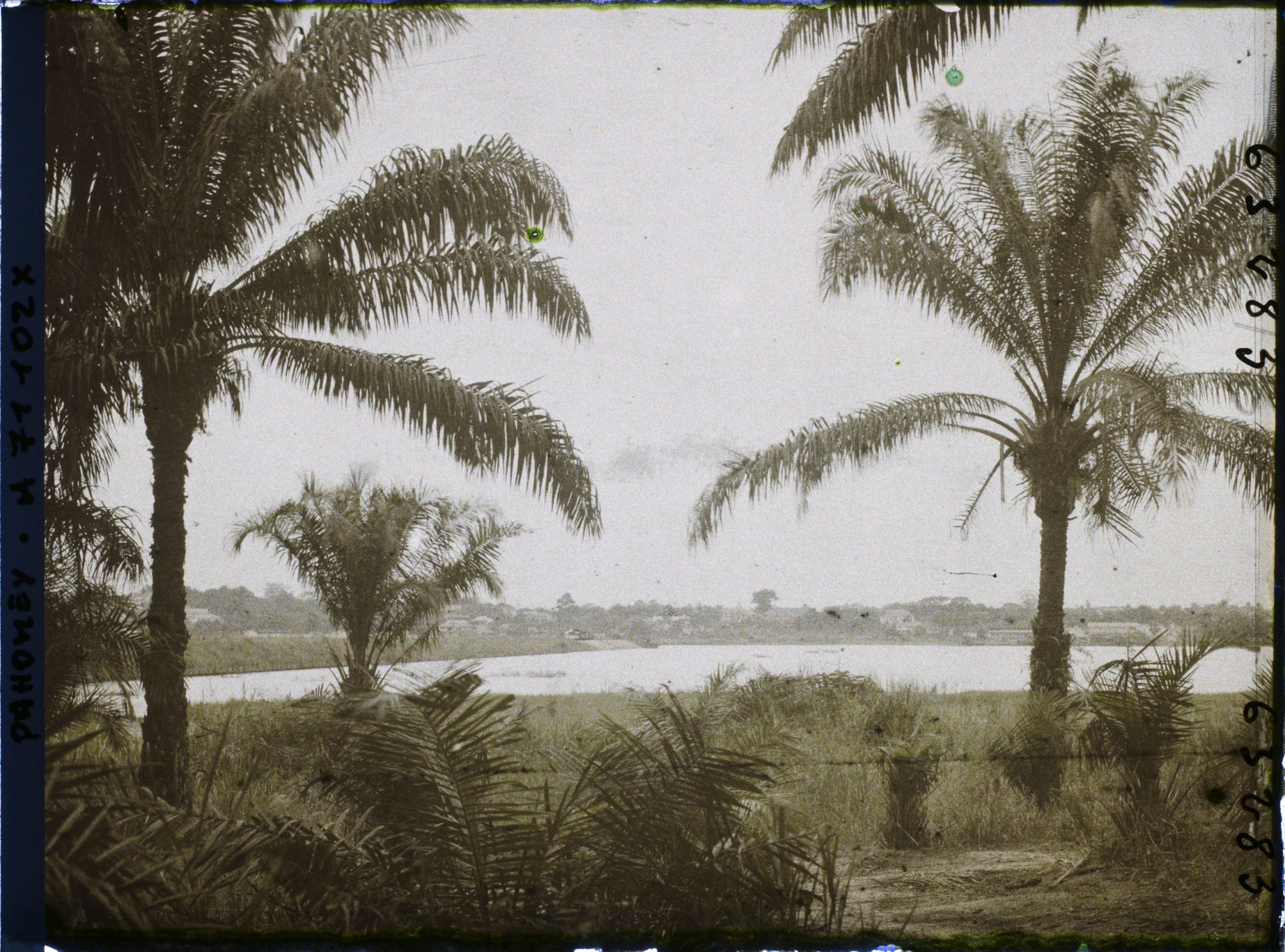 Image représentant Paysage en direction de la lagune, à Porto-Novo ?