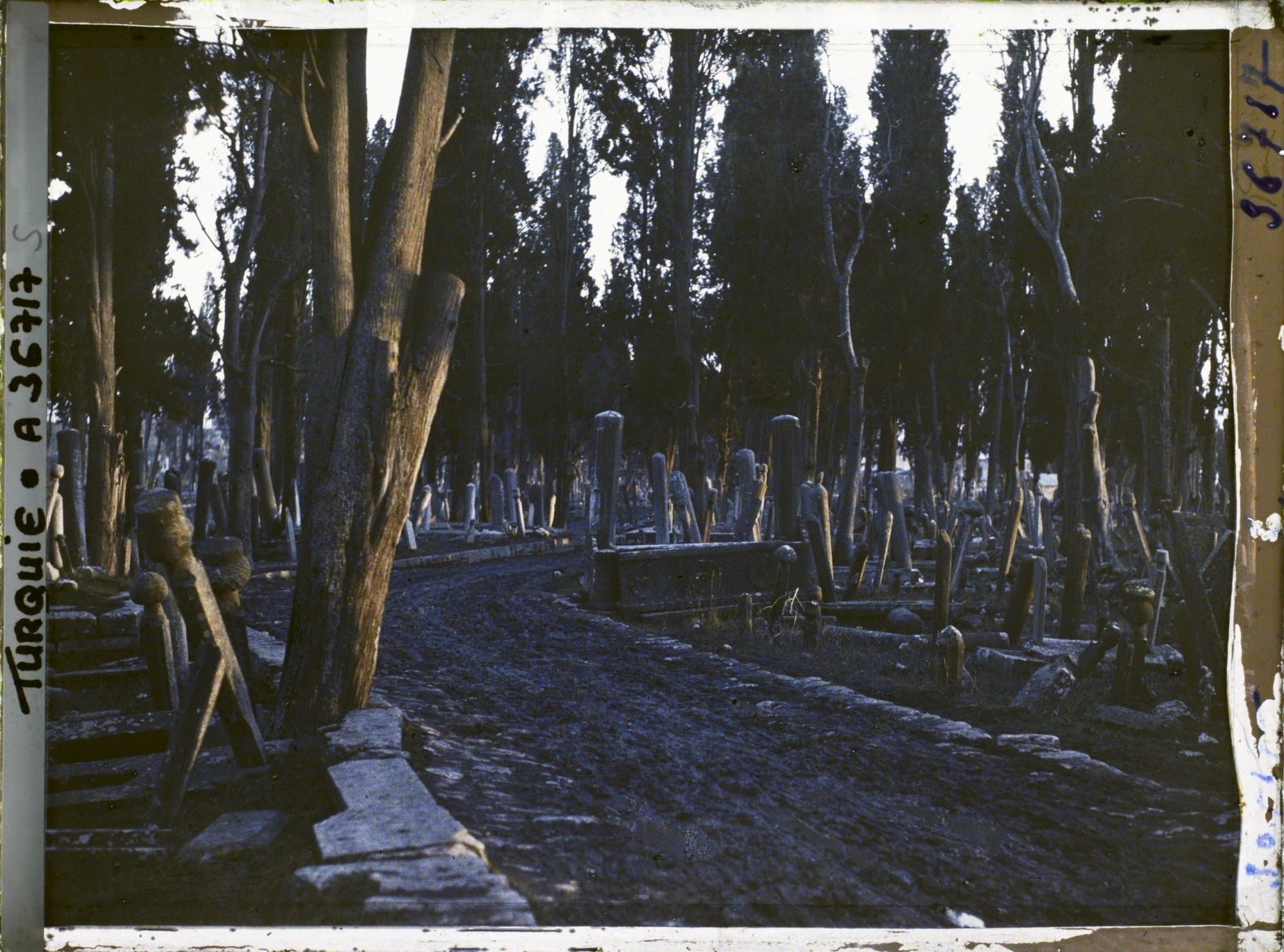 Image représentant Turquie, Constantinople, Soleil Couchant au Cimetière de Teckfour- Seraï