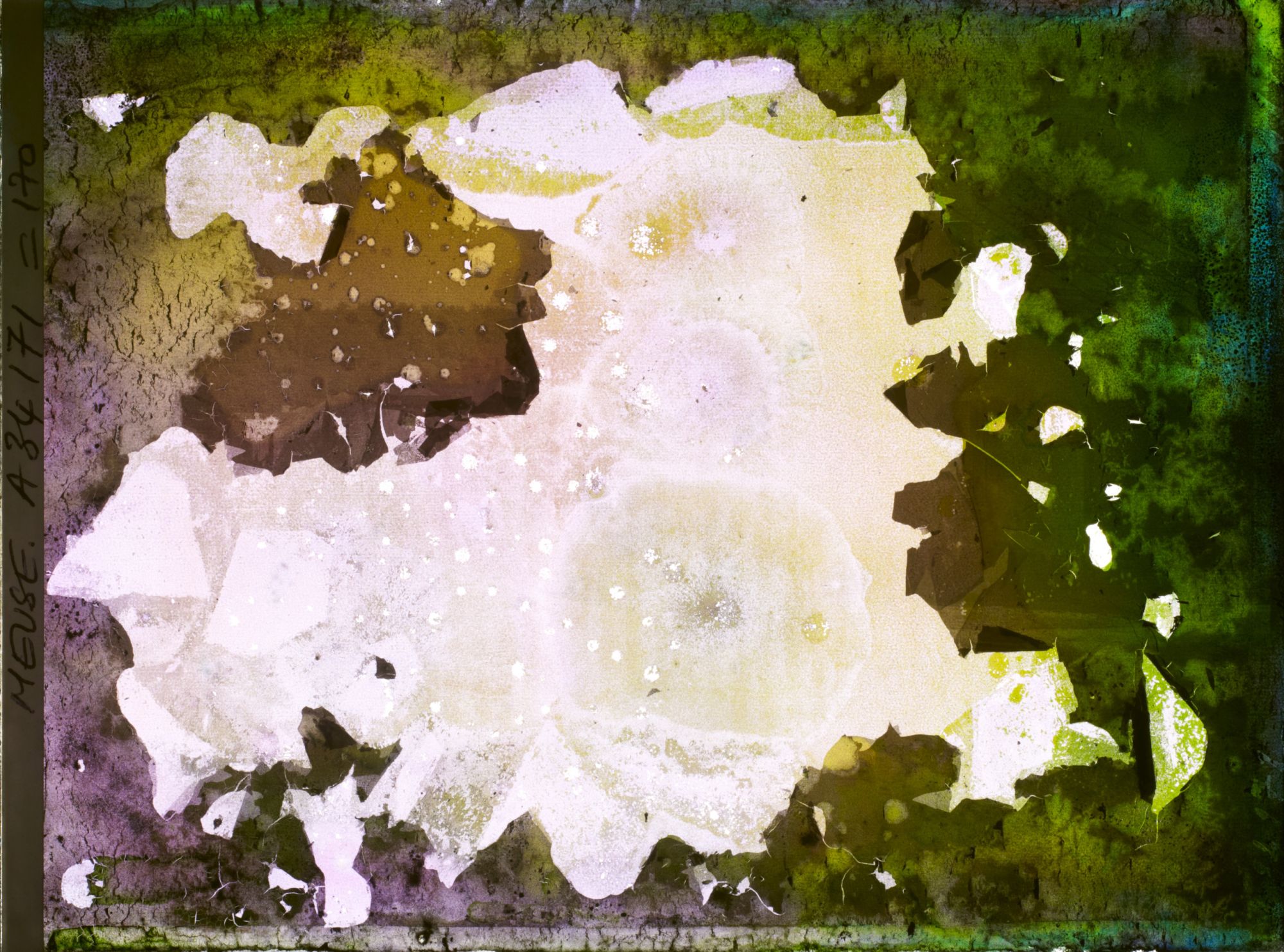 Image représentant France, Apremont, Une rue du Village