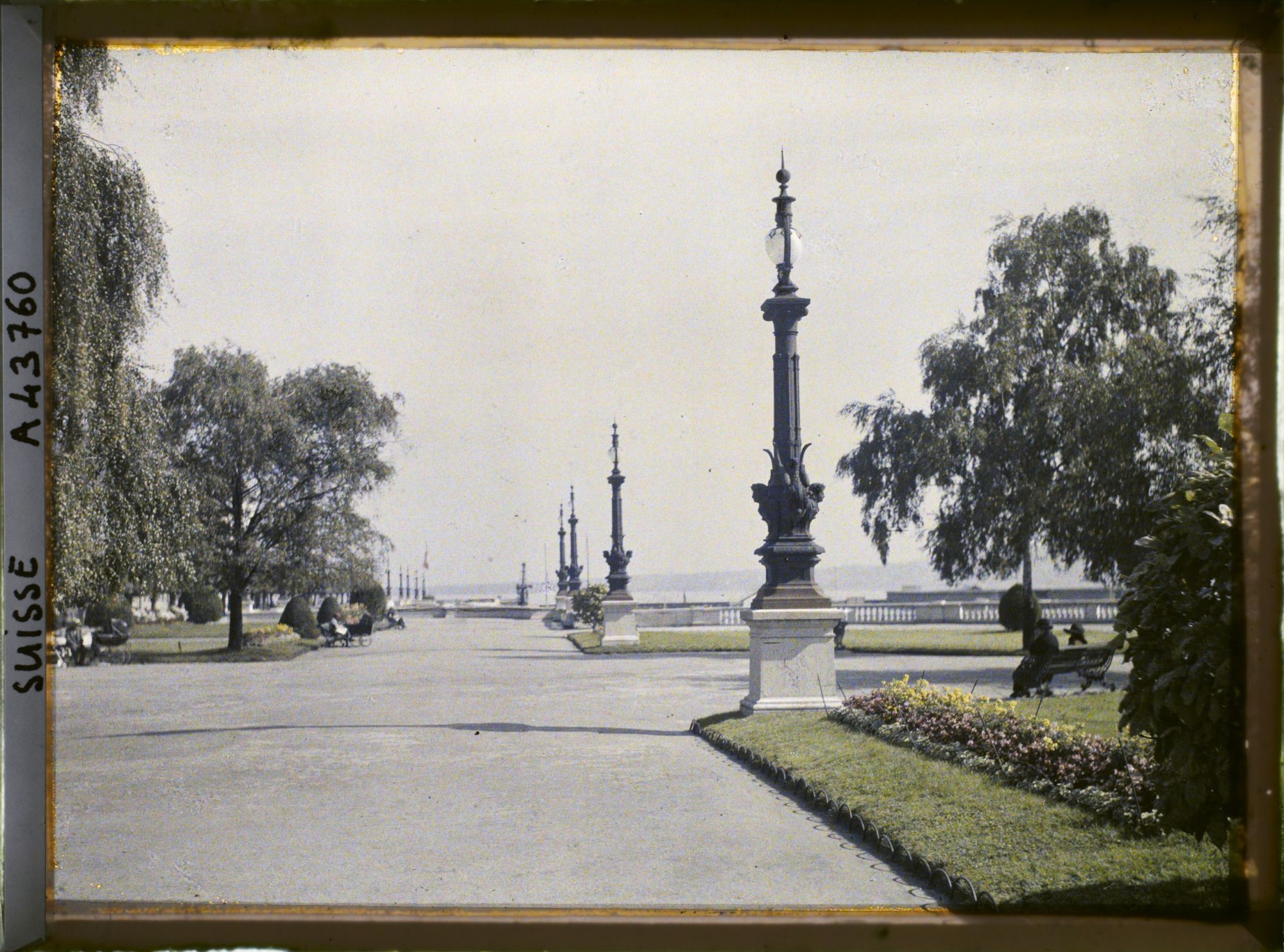 Image représentant Les allées du quai du Mont-Blanc