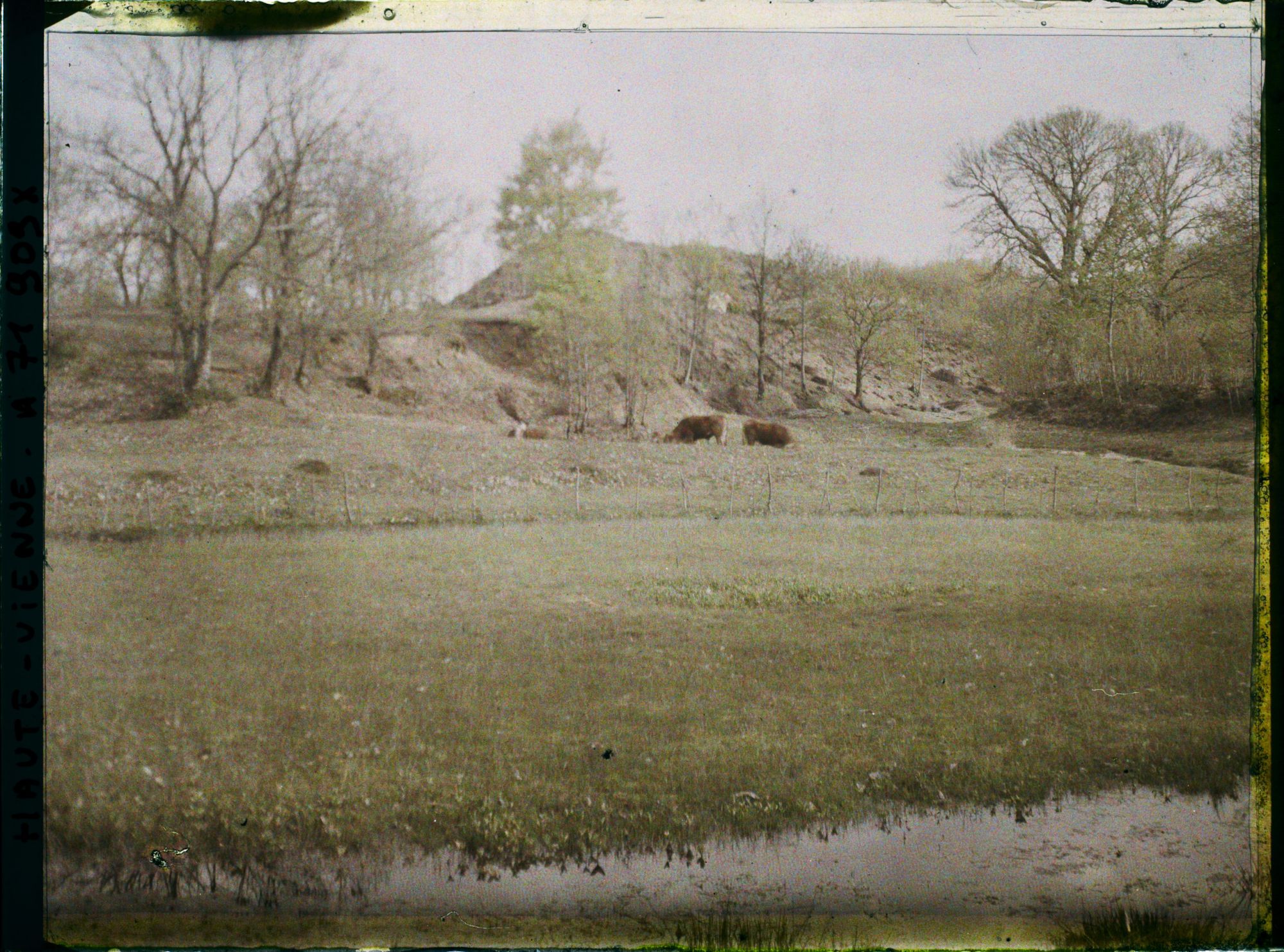 Image représentant Paysage près des mines de La Fagassière (?)