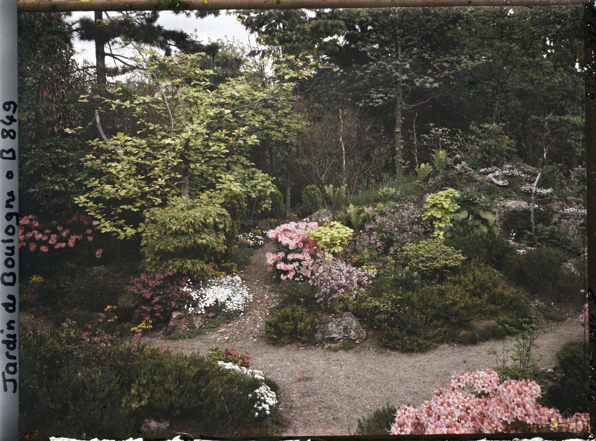 Image représentant Croisement de chemins et rocaille fleurie du " sanctuaire japonais ", proches du verger-roseraie
