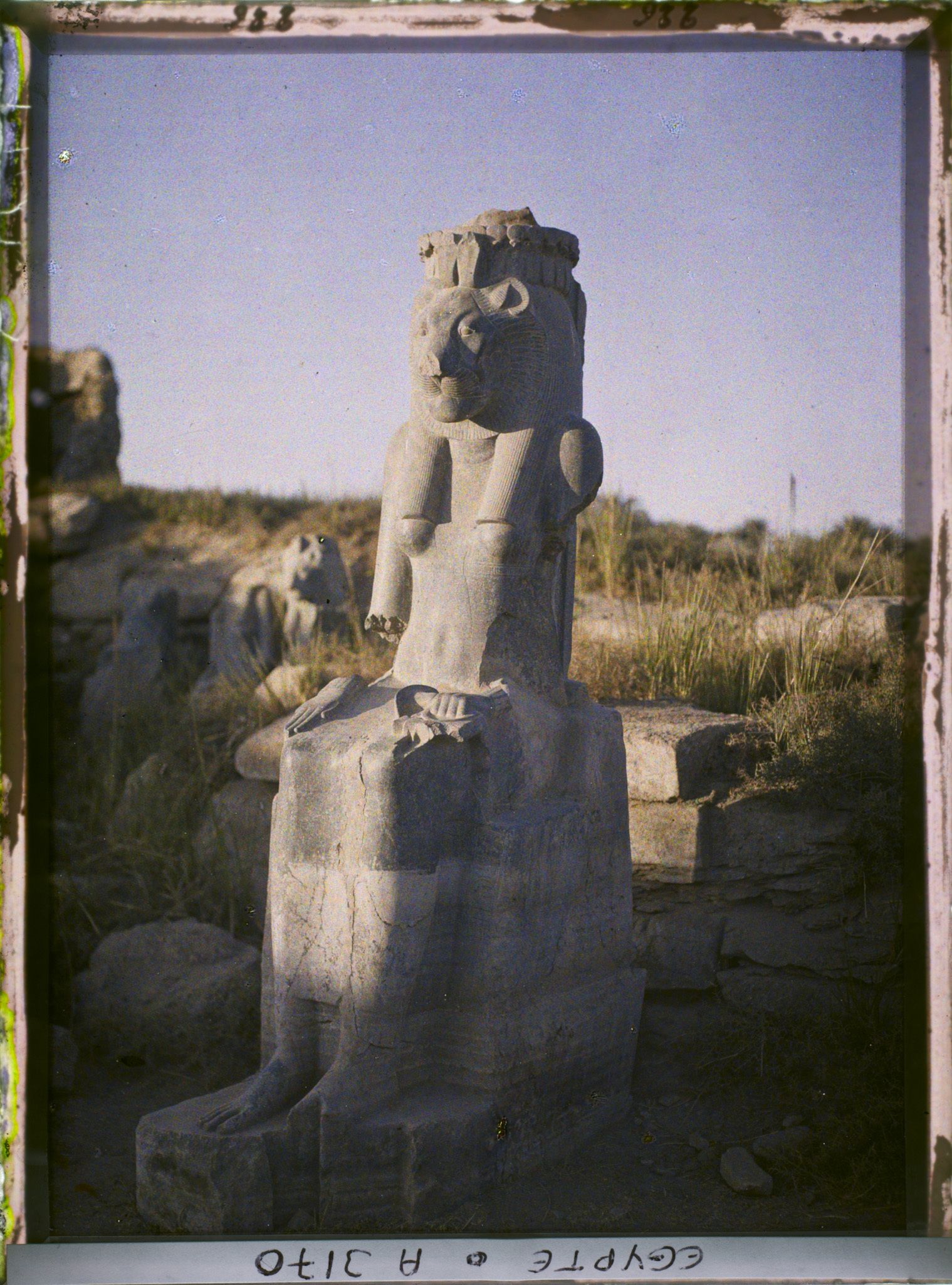Image représentant Statue en granit représentant Sekhmet