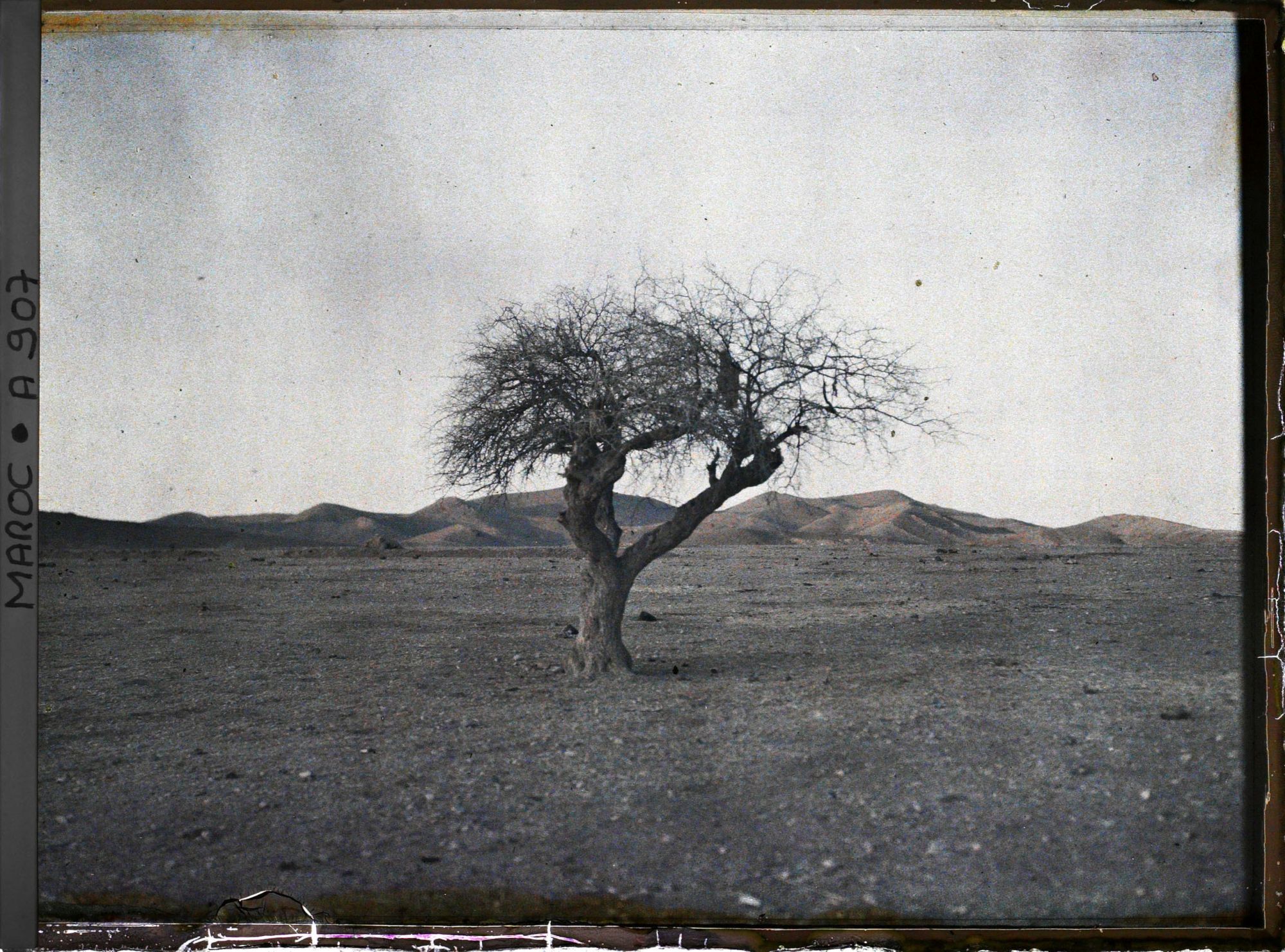 Image représentant Le bled