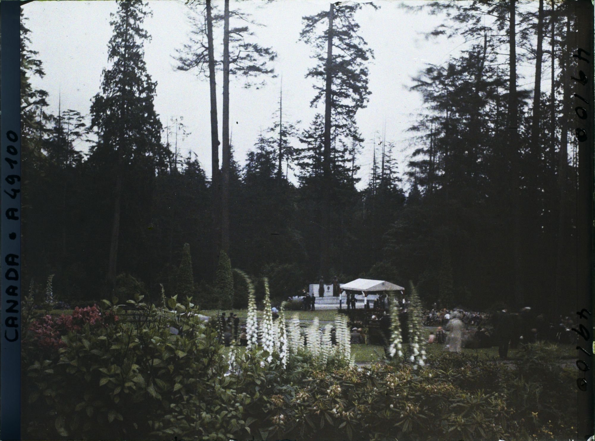 Image représentant Canada, Vancouver, Un Coin du Parc