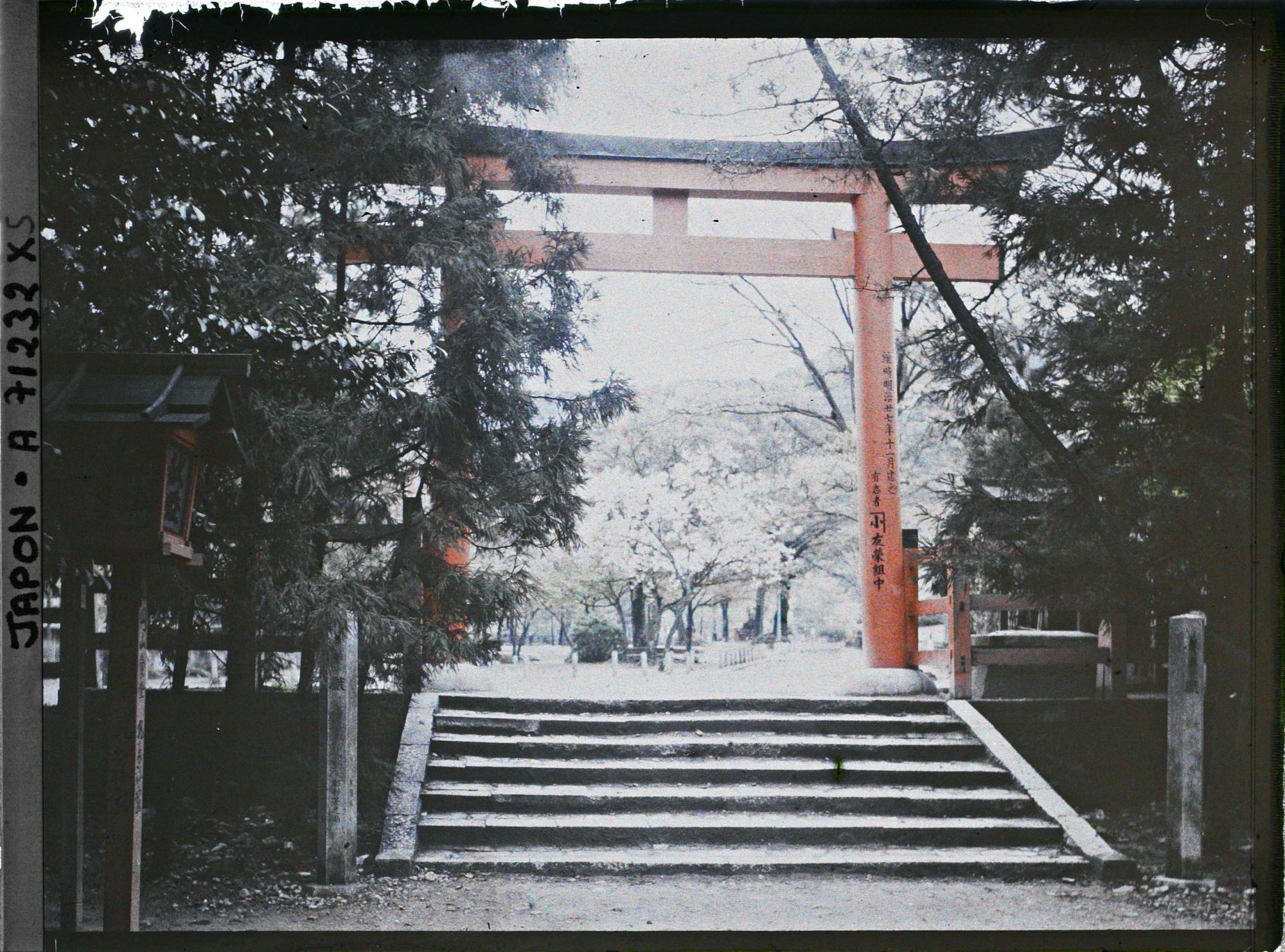 Image représentant Torii dans un sanctuaire