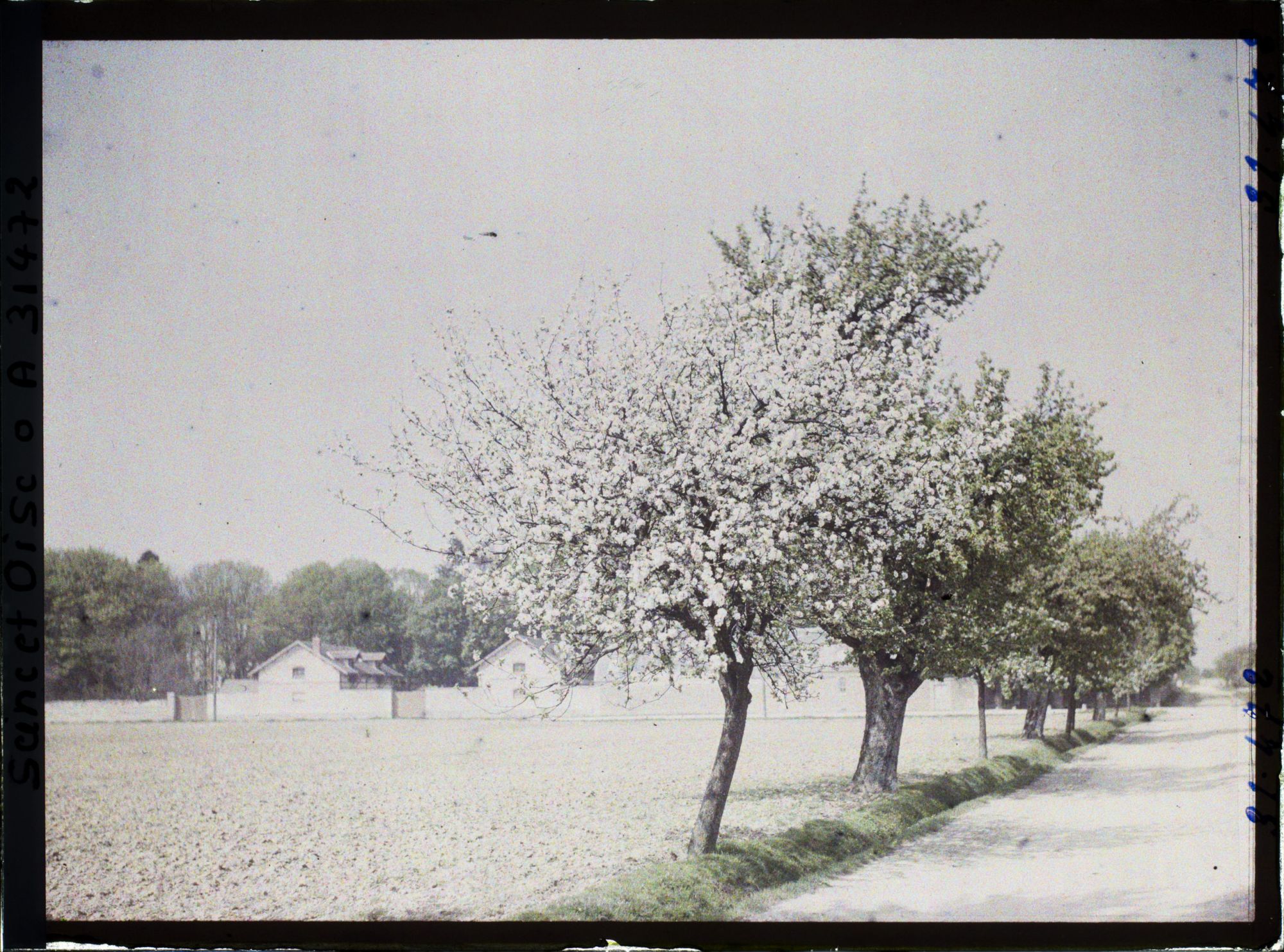 Image représentant France, Paysage : vue prise de la route de Manet