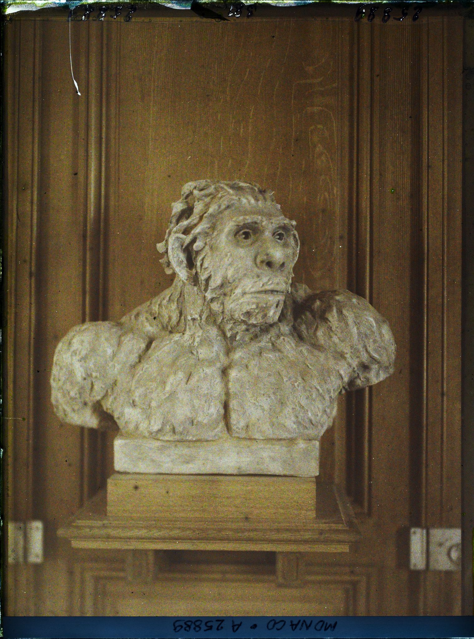 Image représentant Homo Moustériensis, Epoque Glaciaire, âgé du mammouth ; reconstitution par le Dr Maurice. Faure et Melle Yvonne Parvillée, " d'une scrupuleuse exactitude anatomique "