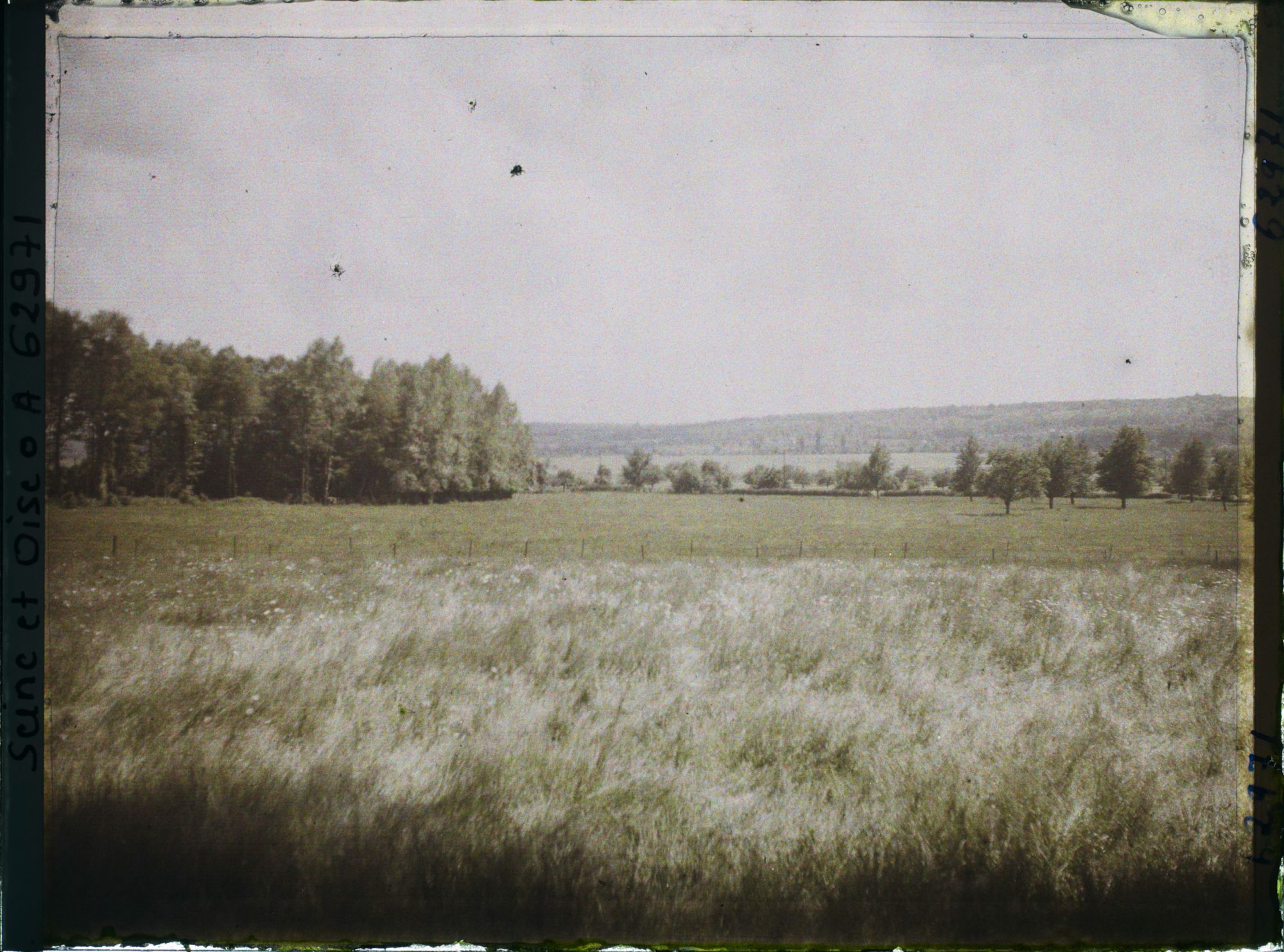 Image représentant Ile de France, Montroult, Pâturages versés par la pluie et le vent