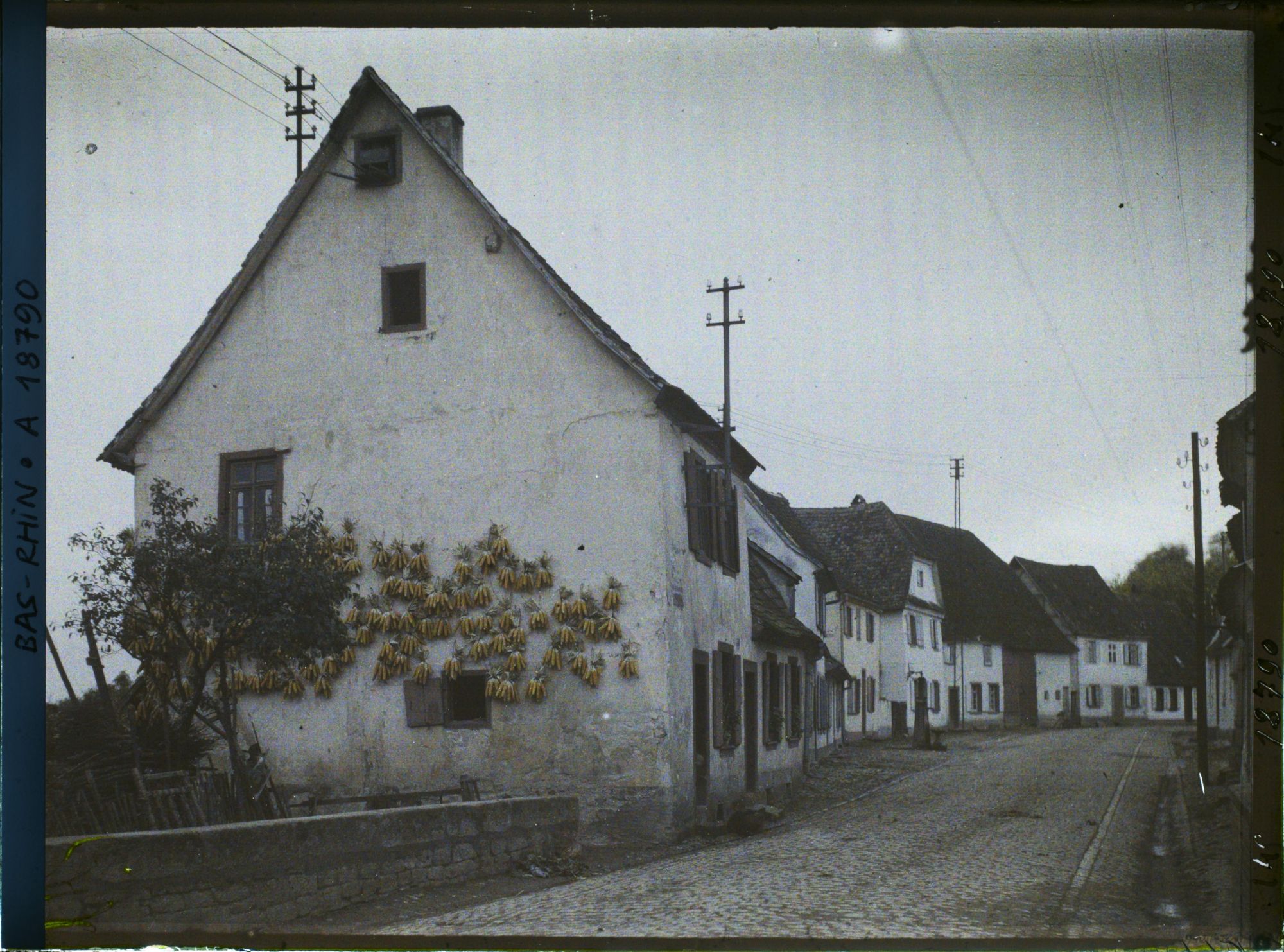 Image représentant France, Lauterbourg, La rue principale et à gauche une maison avec maïs qui sèche.