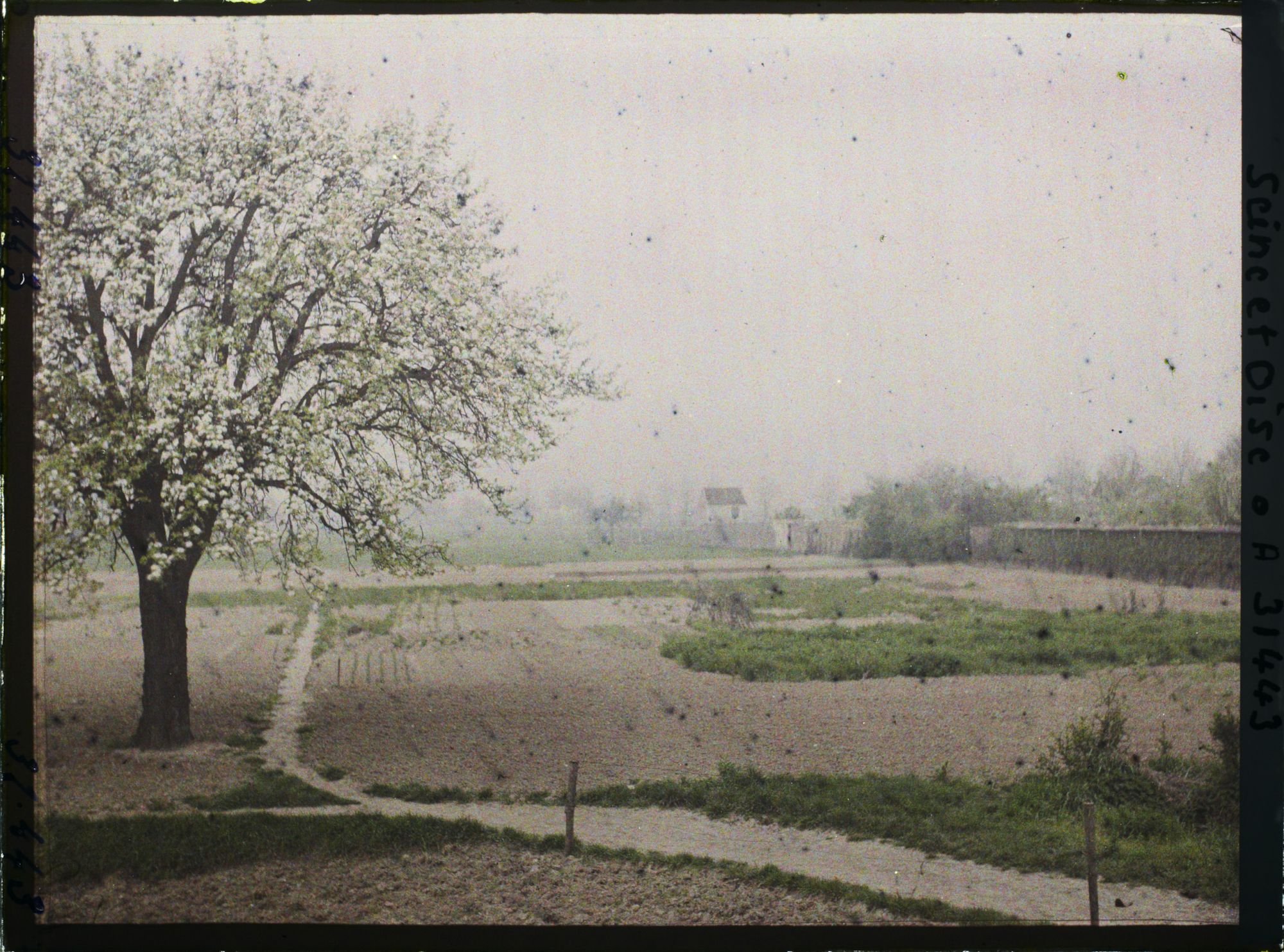 Image représentant France , Trappes (Seine et Oise), Un Champs rue de Chevreuse
