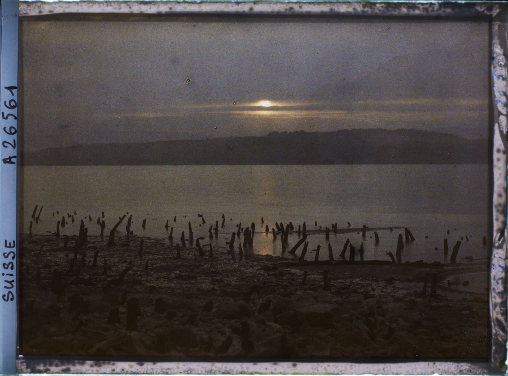 Image représentant Site palafittique préhistorique des Alpes, pieux en bois visibles lors de la baisse des eaux après la grande sécheresse de 1921. Coucher de soleil sur le lac de Morat