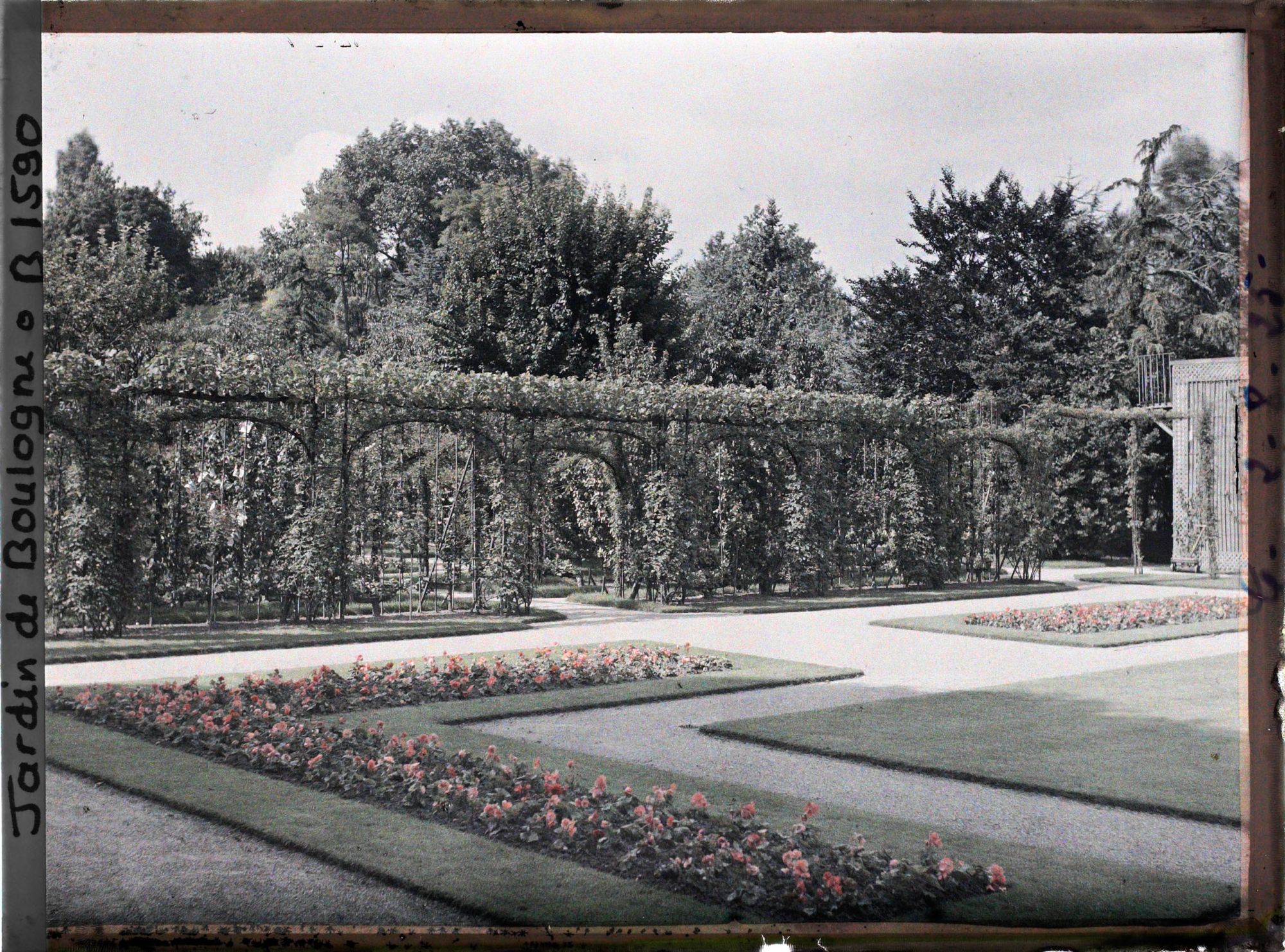 Image représentant Partie du jardin français proche du verger-roseraie, vue en direction de la serre