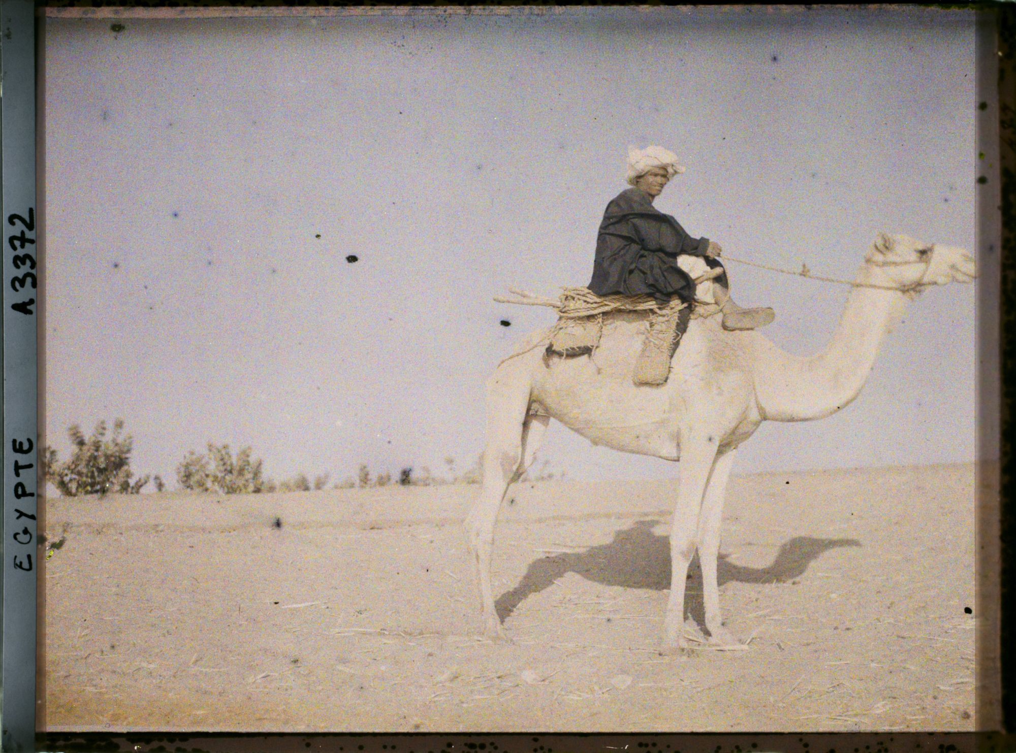 Image représentant Homme sur un chameau