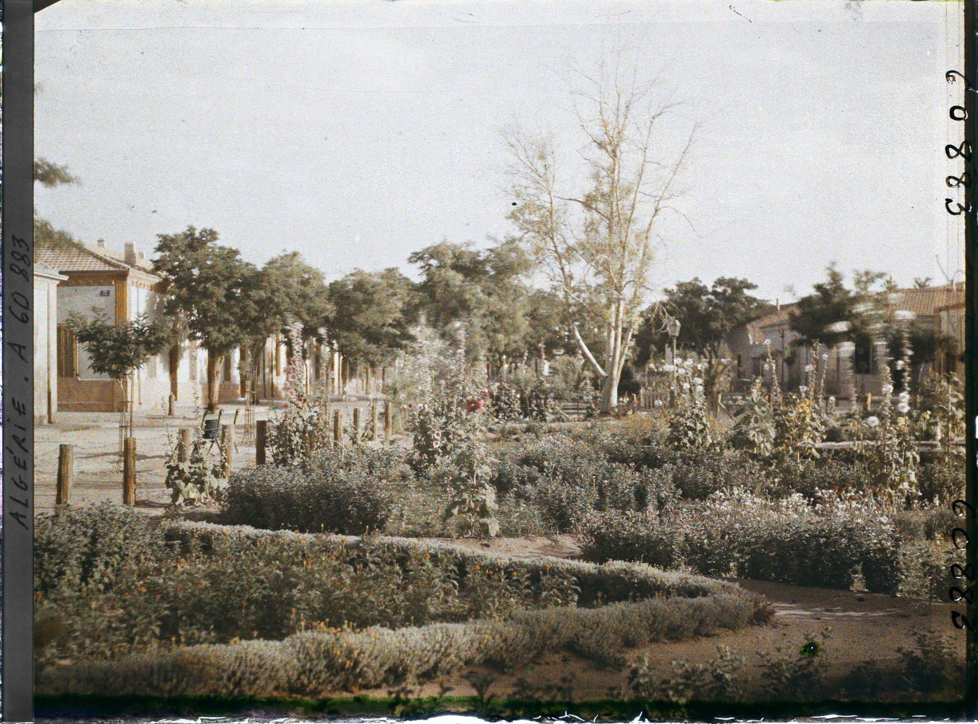 Image représentant Le jardin de la place de la République