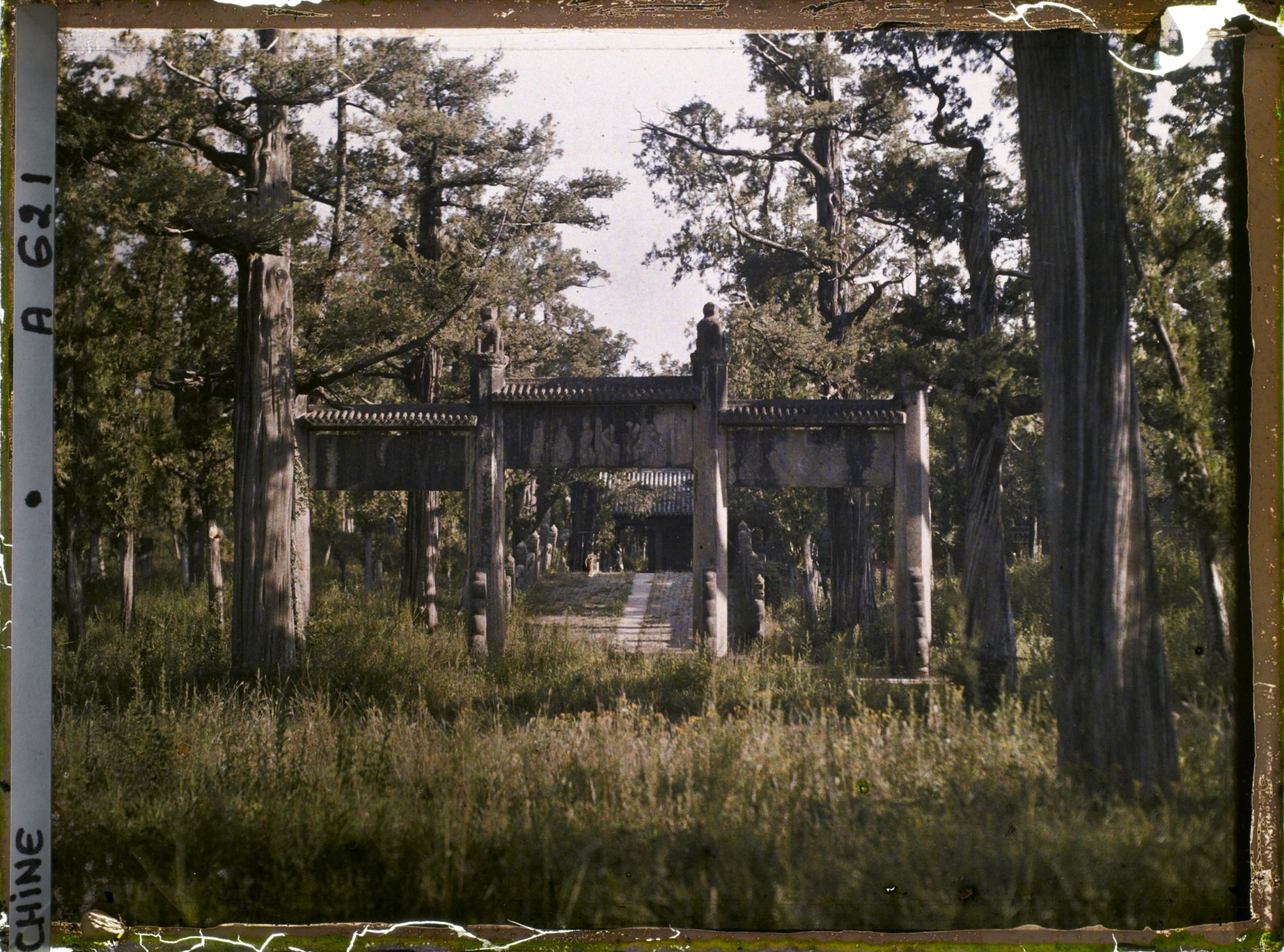 Image représentant Konglin, la nécropole de la famille de Confucius