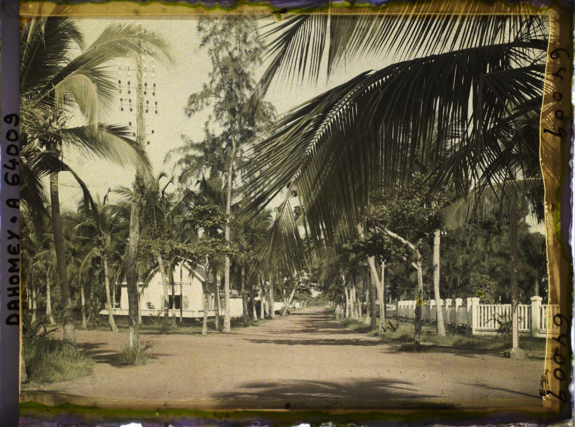 Image représentant Intersection d'avenues dans le quartier européen, présence de ligne télégraphique suspendue aux arbres