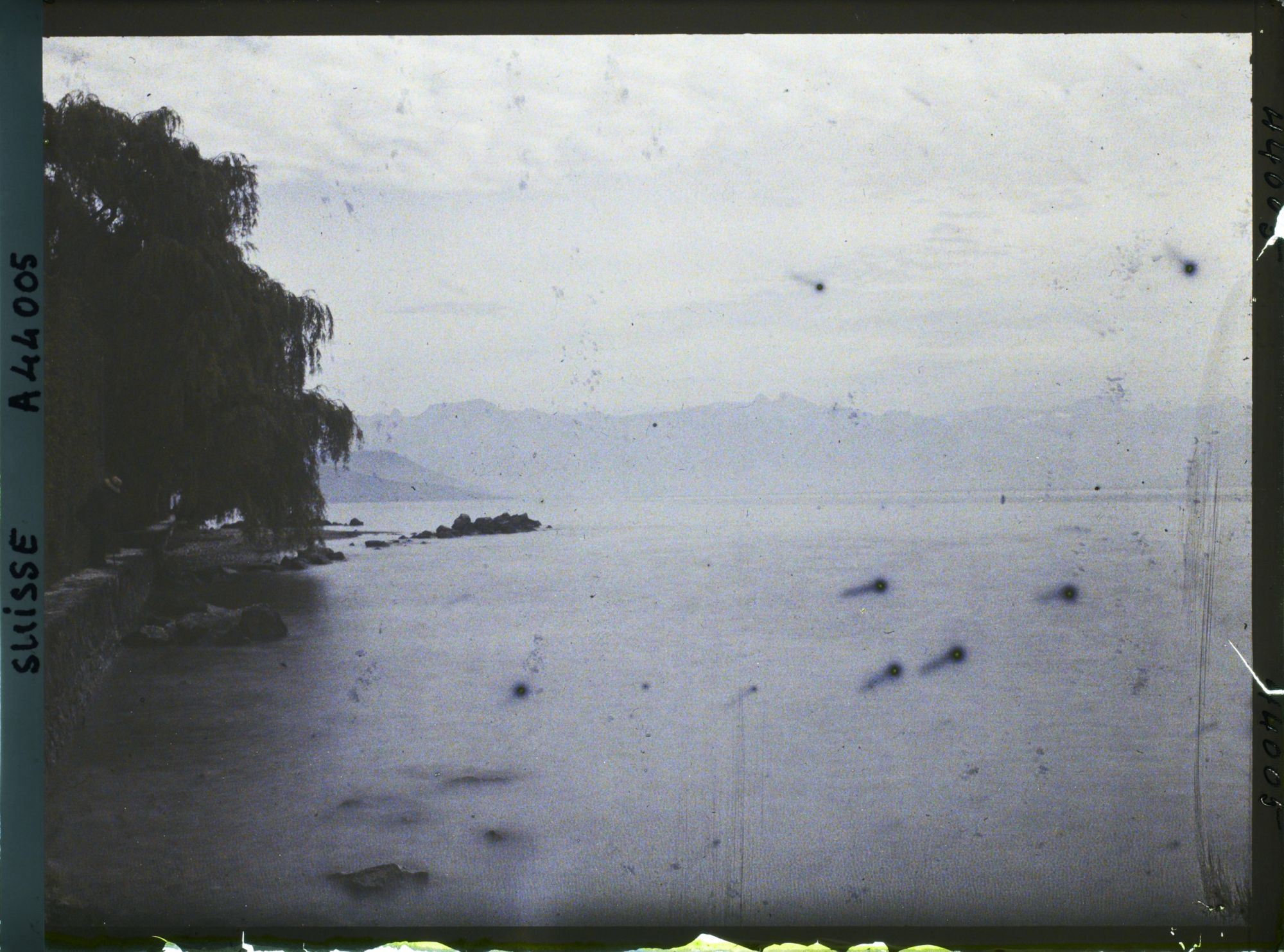 Image représentant Le Léman