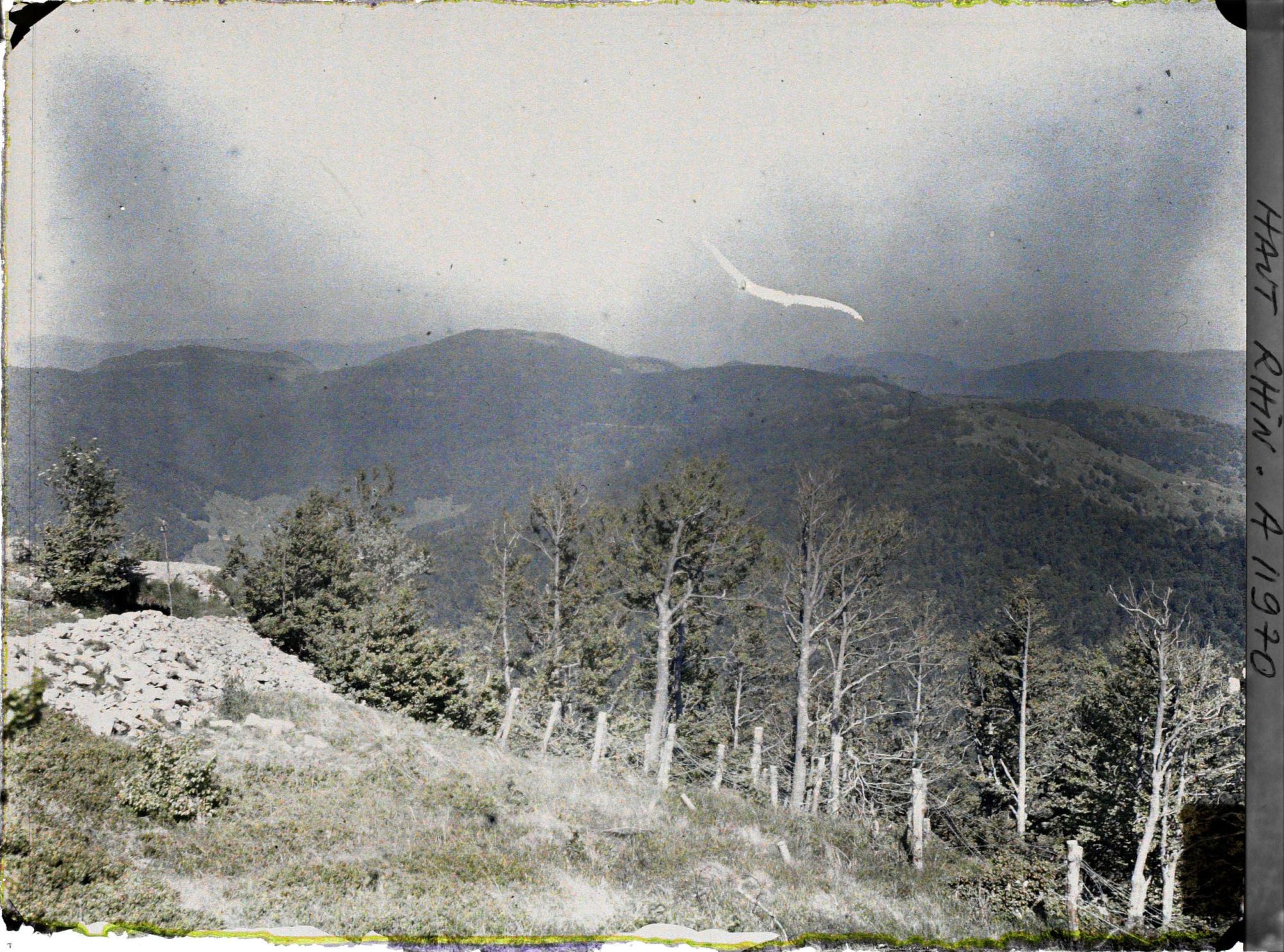 Image représentant Gresson, Ballon de Gebweiler, Rossberg [installations défensives]