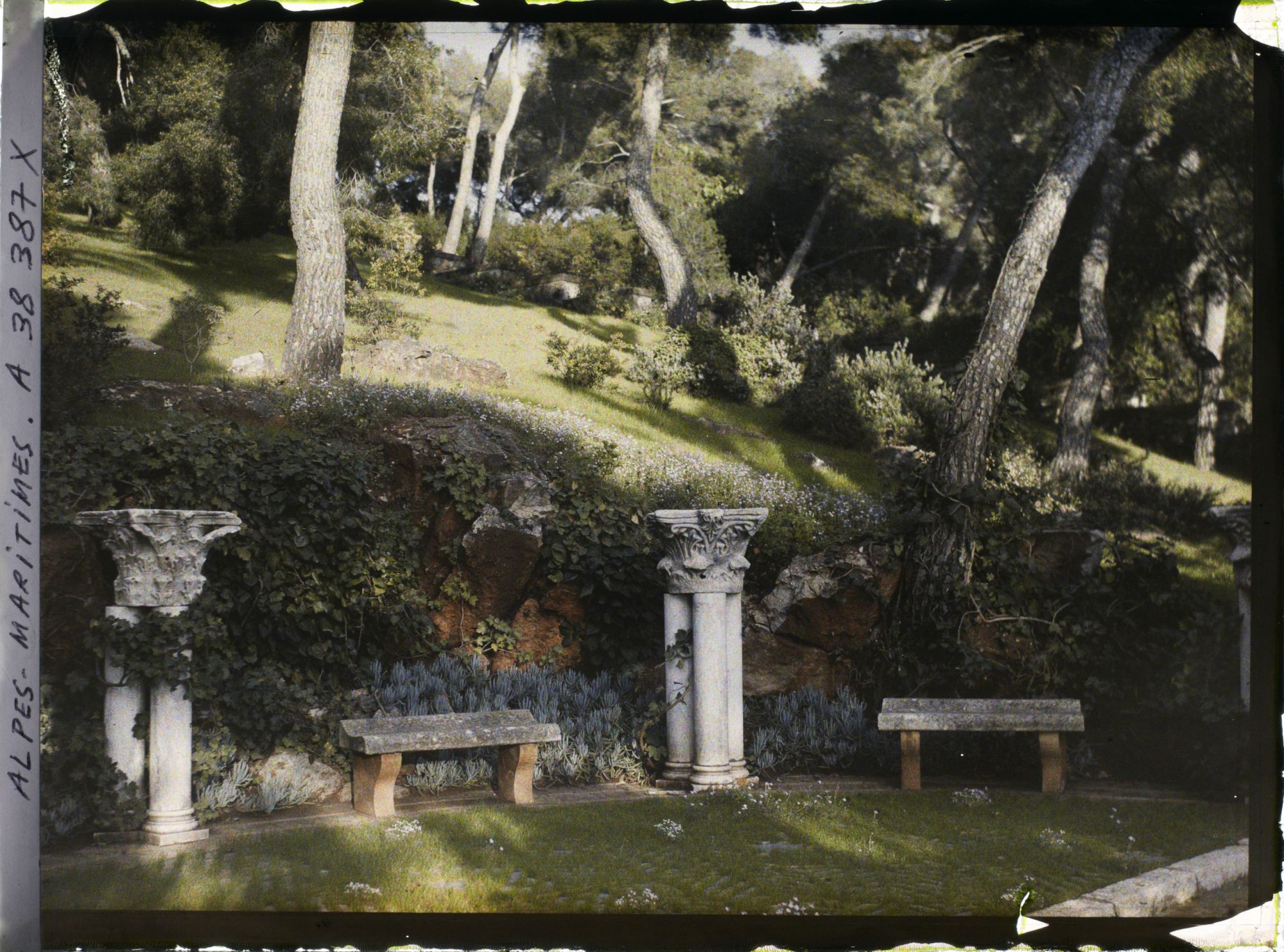 Image représentant Bancs sur une terrasse ombragée du jardin de la villa Cypris, au pied d'une pente enherbée et fleurie