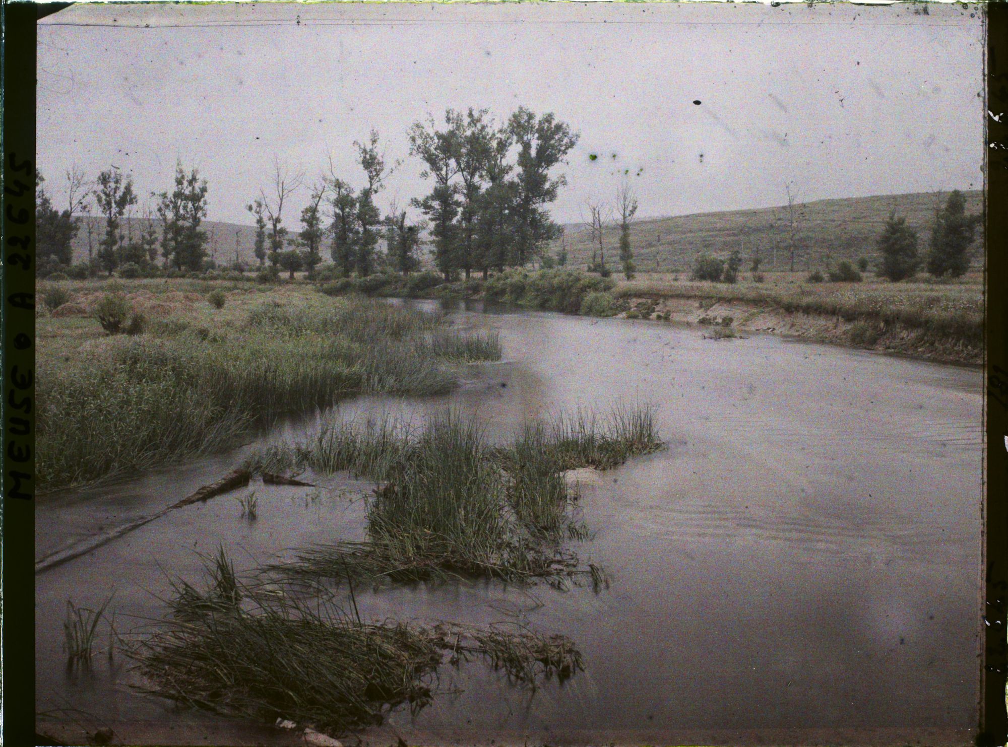 Image représentant France, Samogneux, Les berges de la Meuse à Samogneux