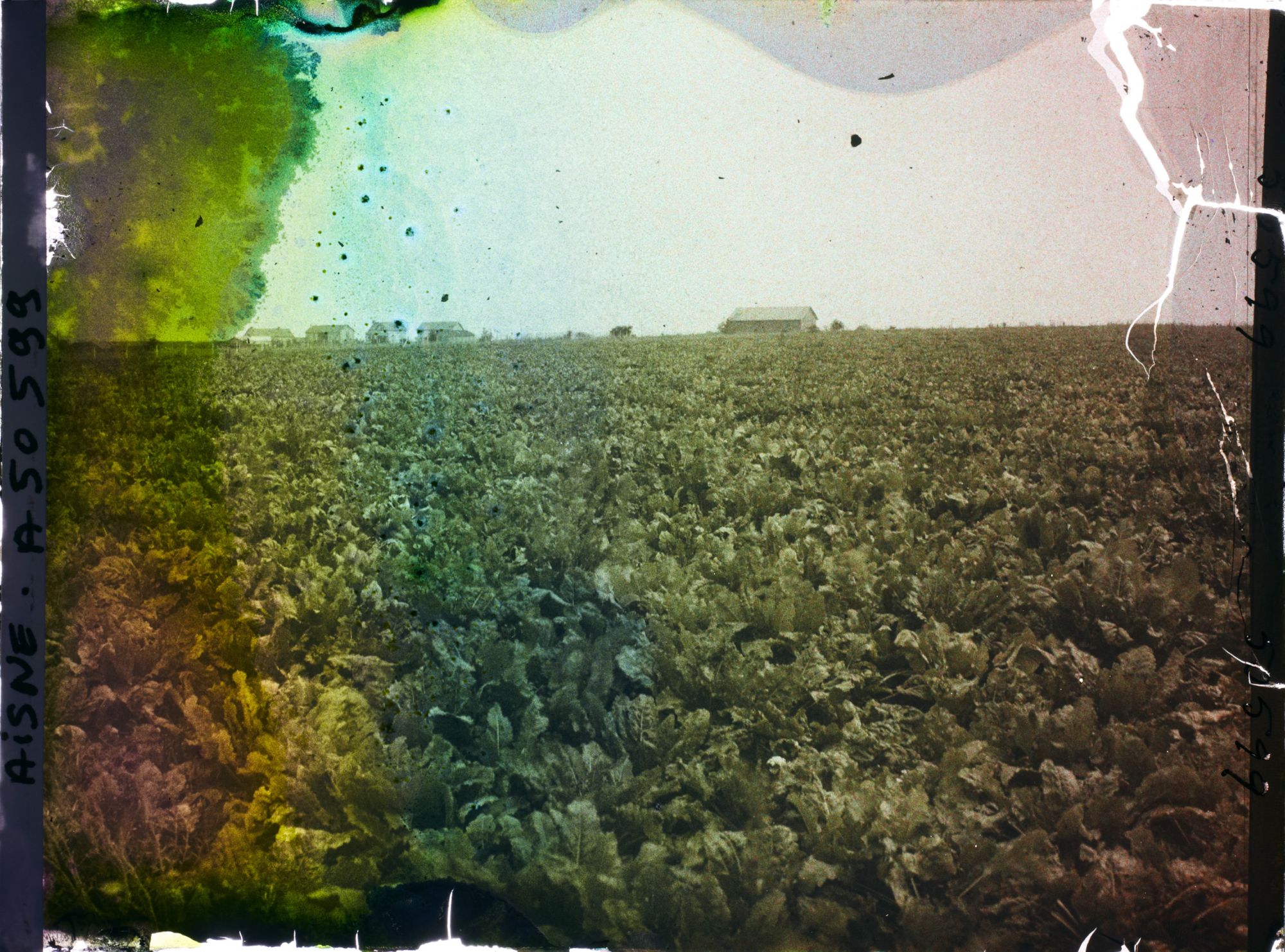 Image représentant France, Laffaux, Vue vers le Village et Champ de Betteraves