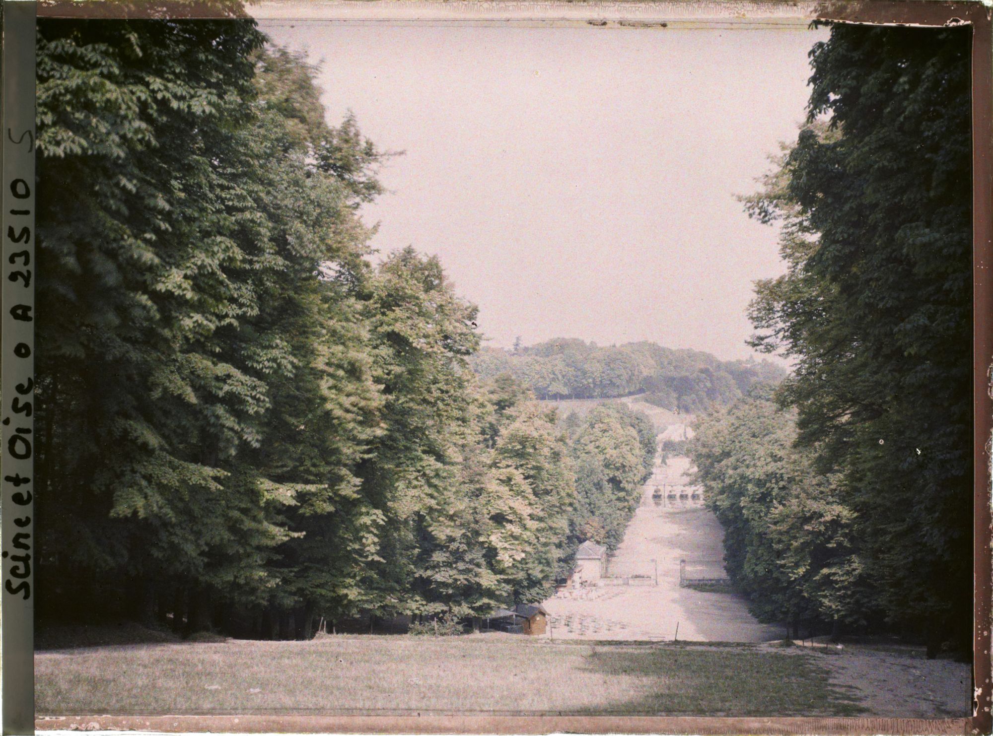 Image représentant Aspect de la végétation dans le parc, l'allée du Fer à Cheval