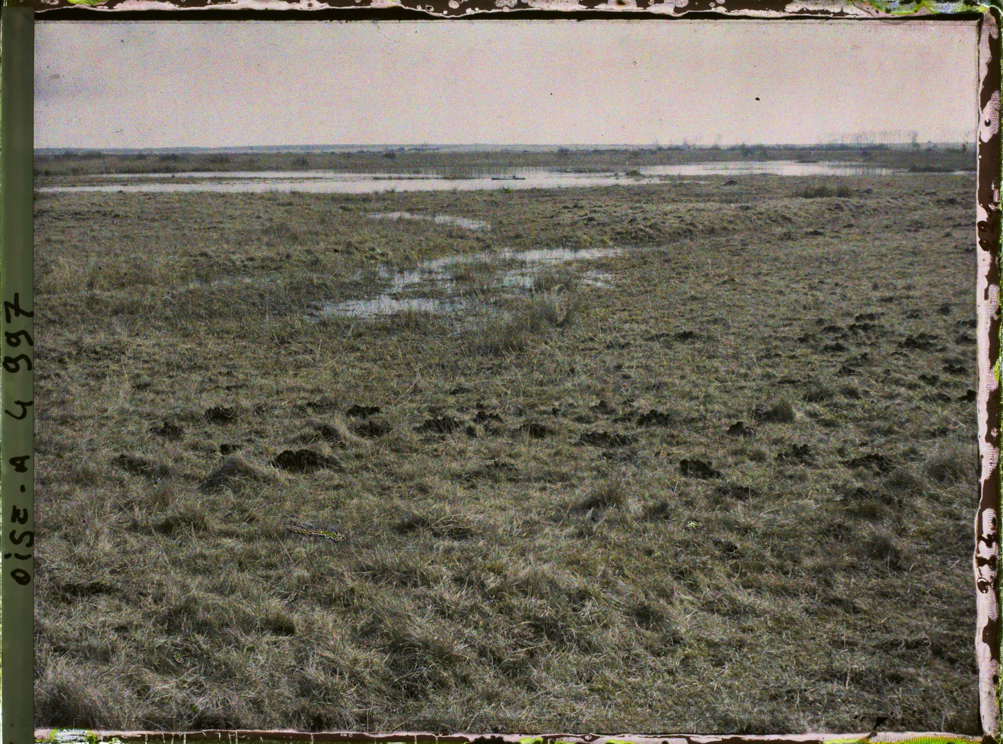 Image représentant Les marais de Saint-Gond