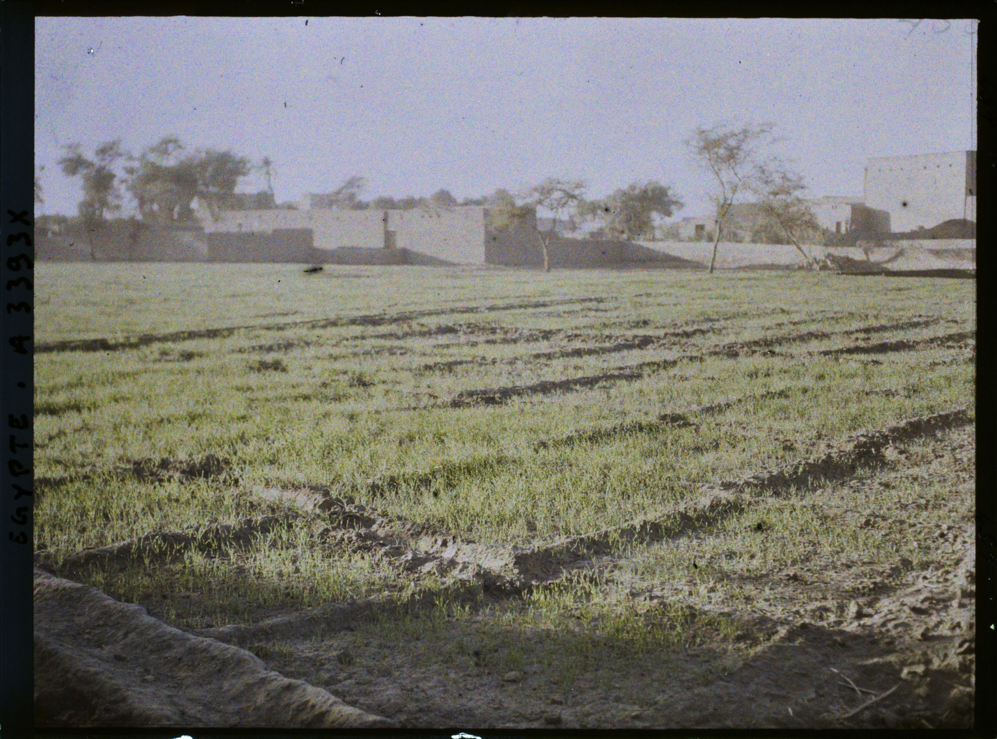 Image représentant Champs de cultures aux abords du village
