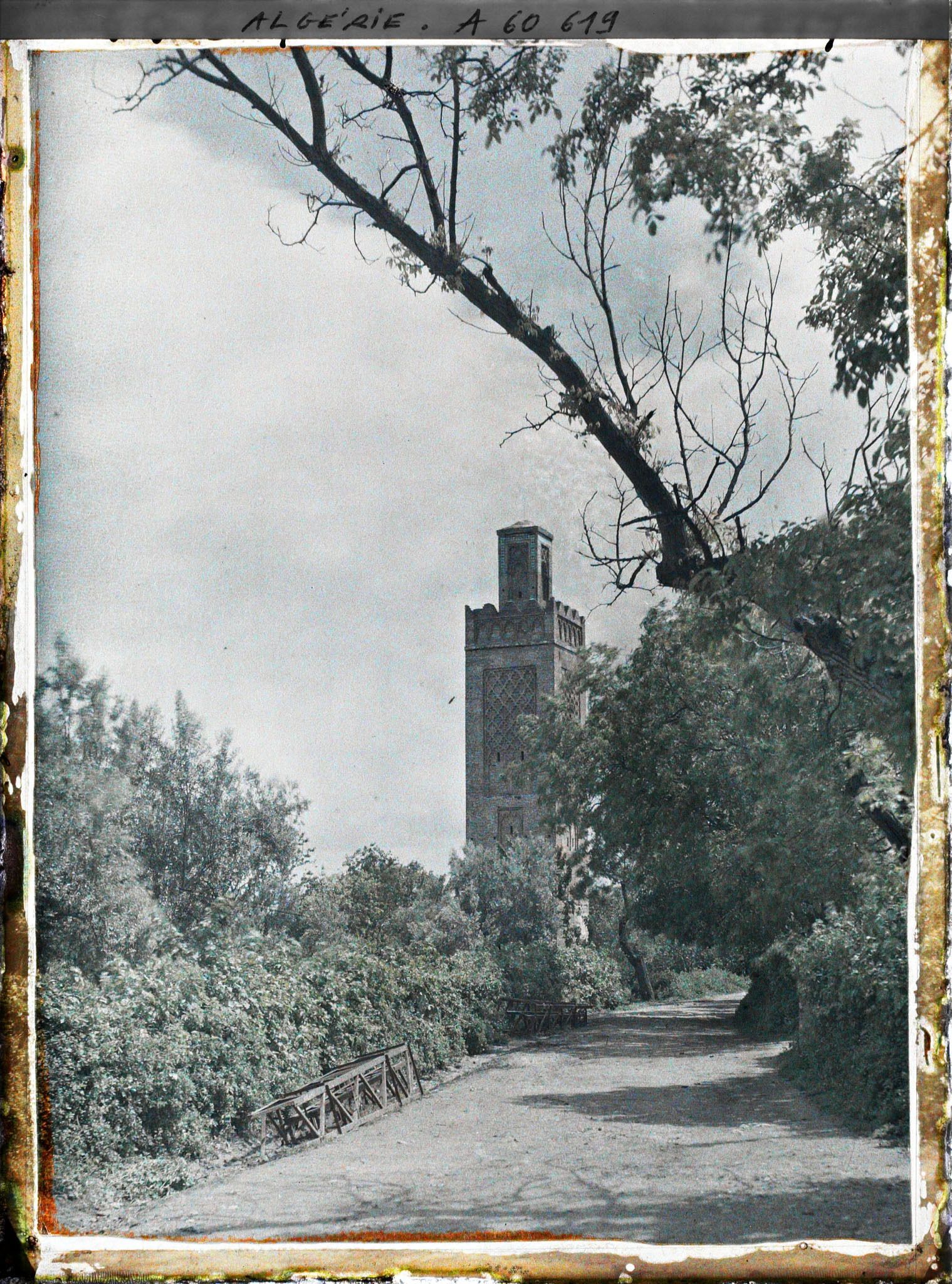 Image représentant La route menant à la mosquée, avec à l'arrière-plan le minaret