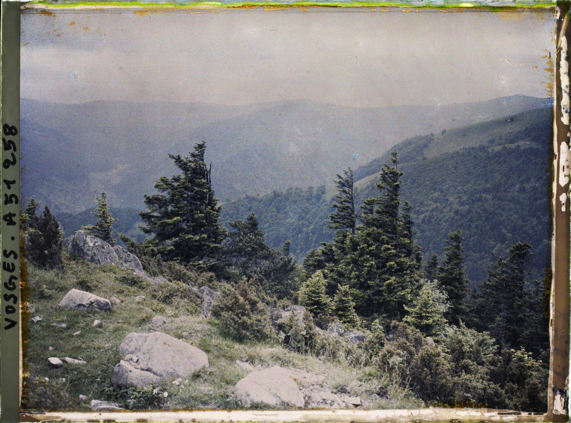 Image représentant Alsace, Houhneck, Ravin du Wormspelle vu des pentes Sud du petit Honhneck