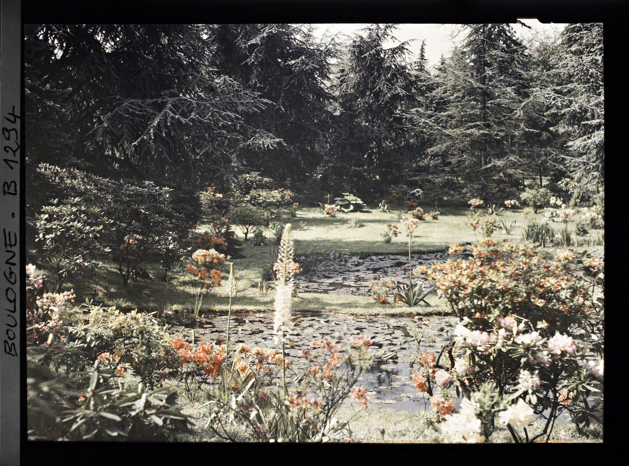 Image représentant les bassins du marais