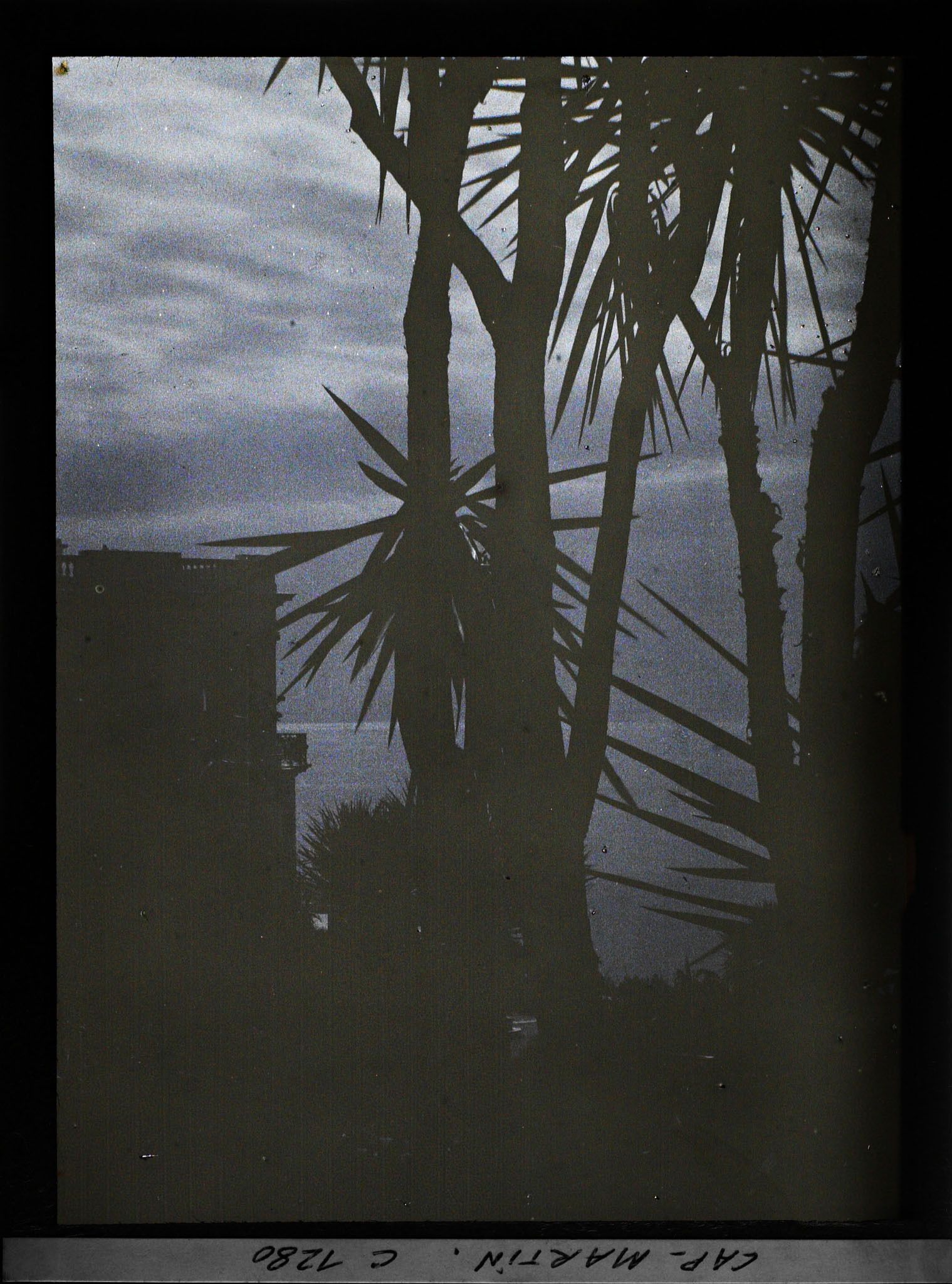 Image représentant Yucca et villa Kahn, encore appelée villa Zamir, se découpant à contre-jour sur fond de mer
