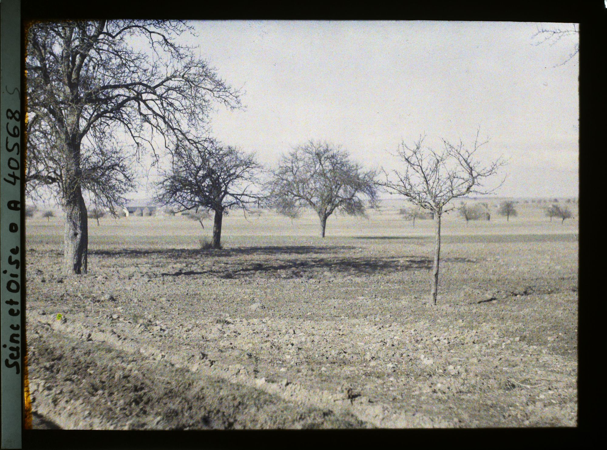 Image représentant France, Les Clayes, Champs et Pommiers